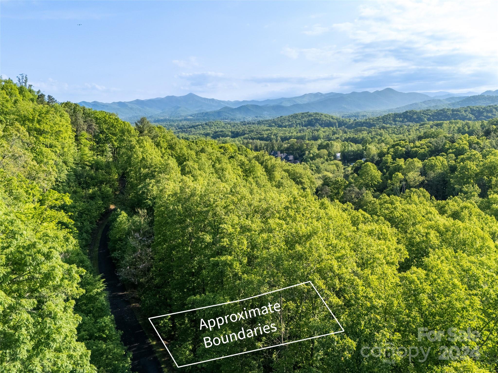 37 Ashewood Mountain Way Property Photo 3