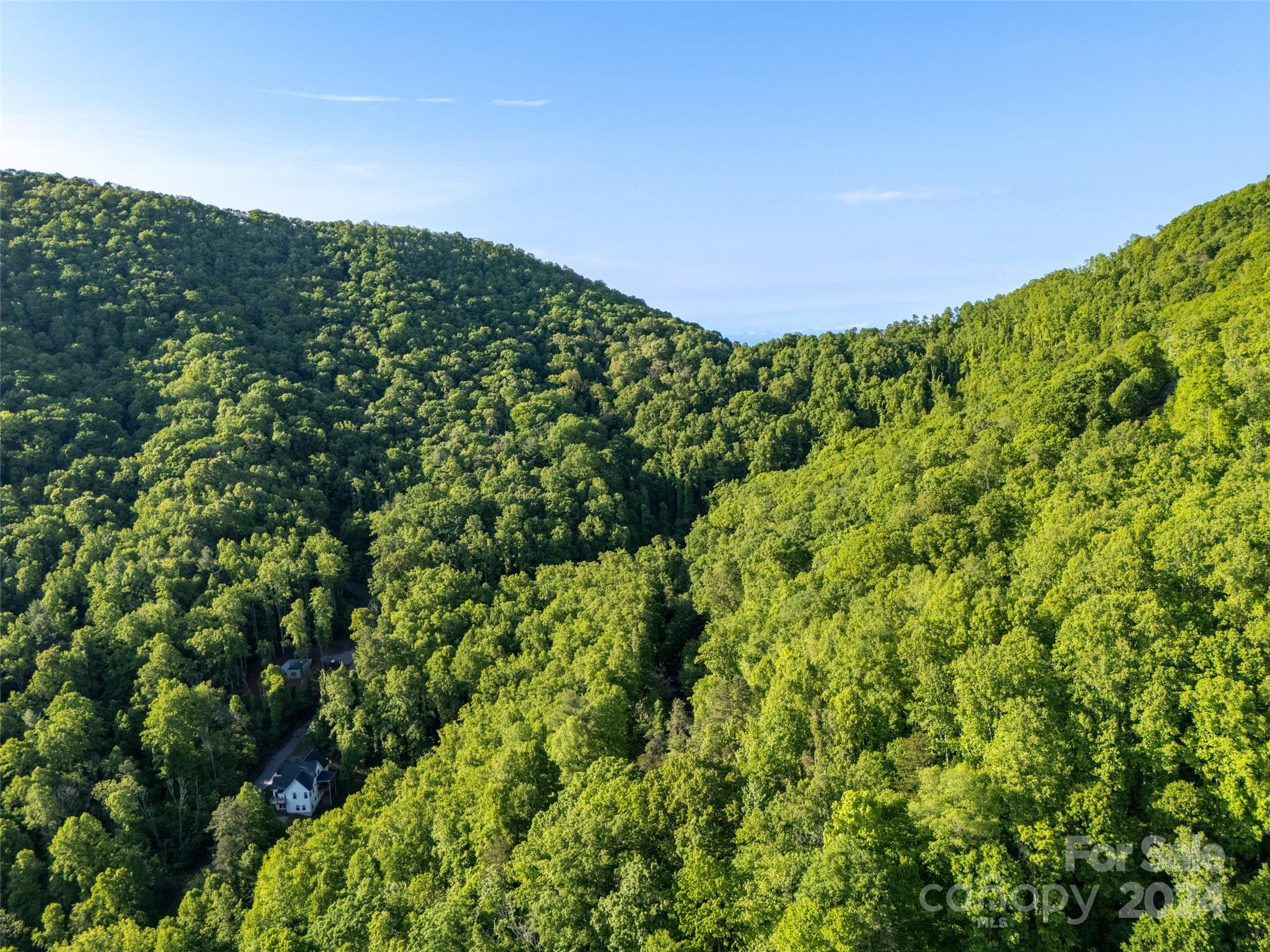 37 Ashewood Mountain Way Property Photo 6