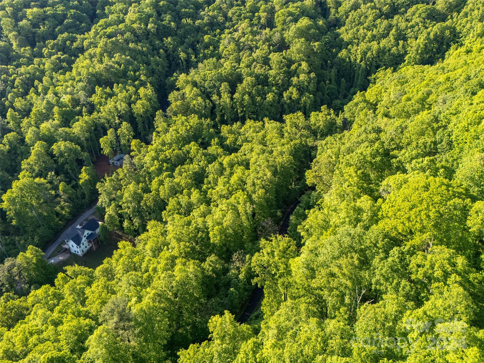 37 Ashewood Mountain Way Property Photo 7