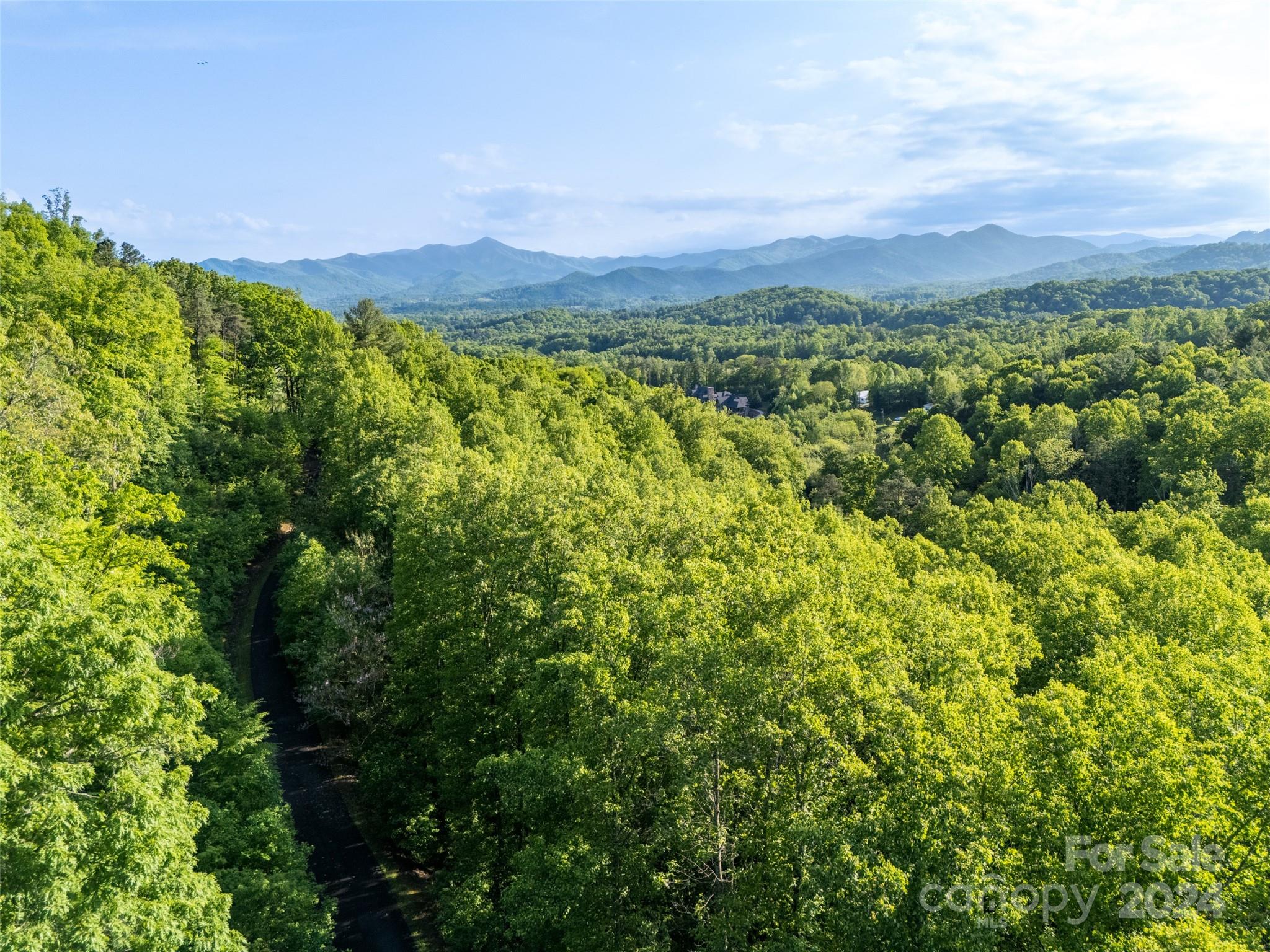 37 Ashewood Mountain Way Property Photo 8