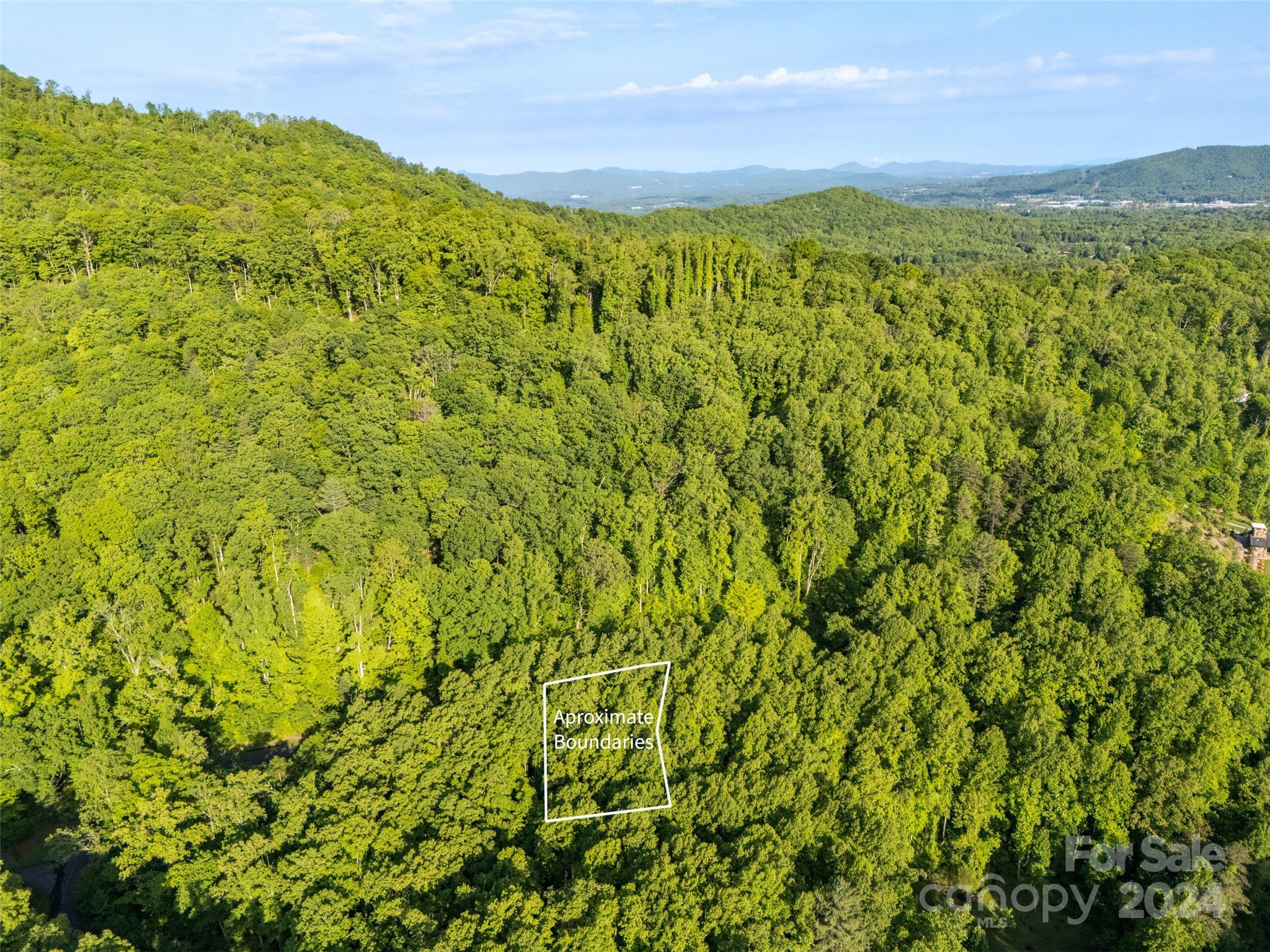 37 Ashewood Mountain Way Property Photo 10