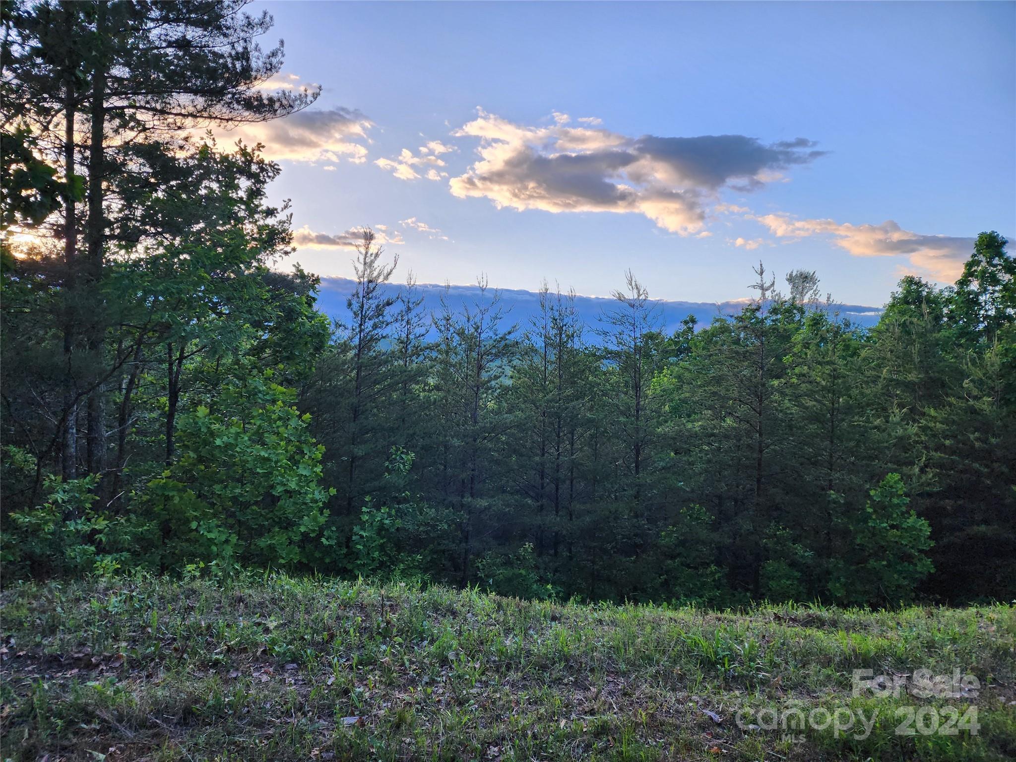 87 Mountain Lookout Drive Property Photo