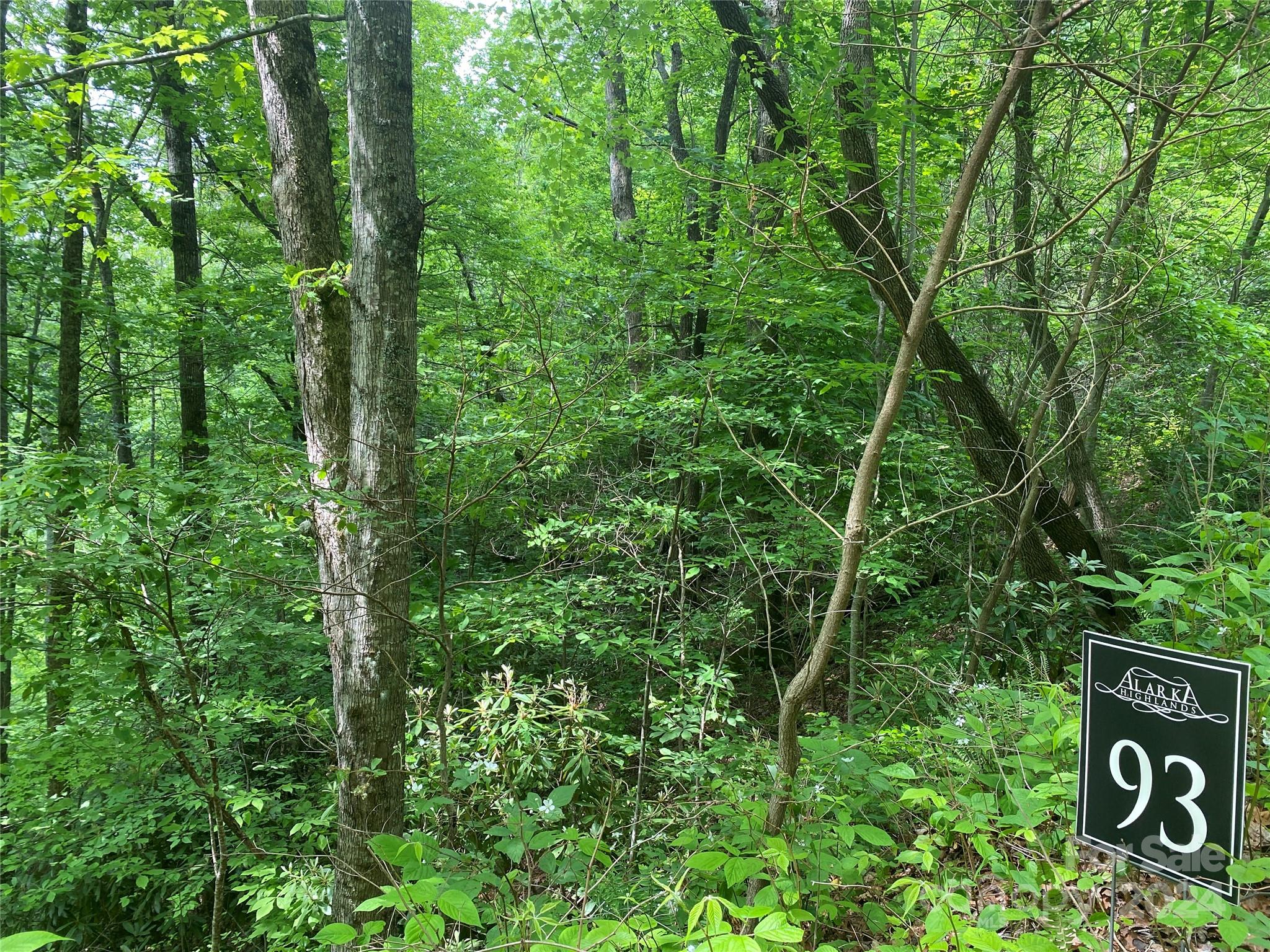 Lot 93 Alarka Highlands Drive Property Photo