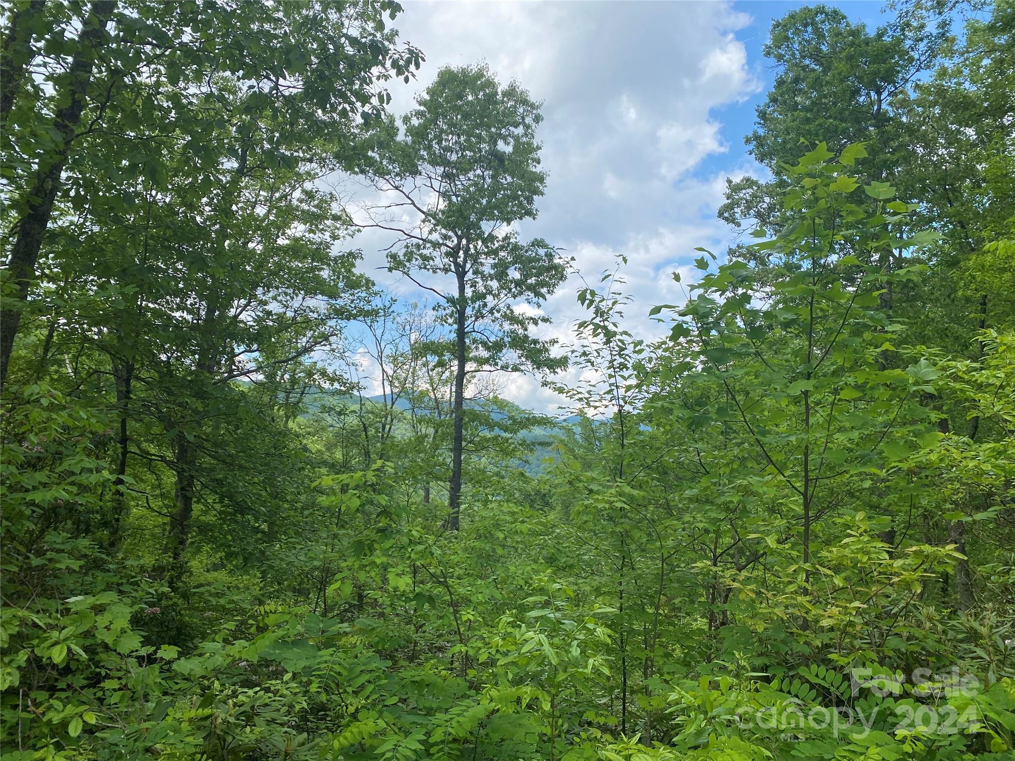 Lot 93 Alarka Highlands Drive Property Photo 2