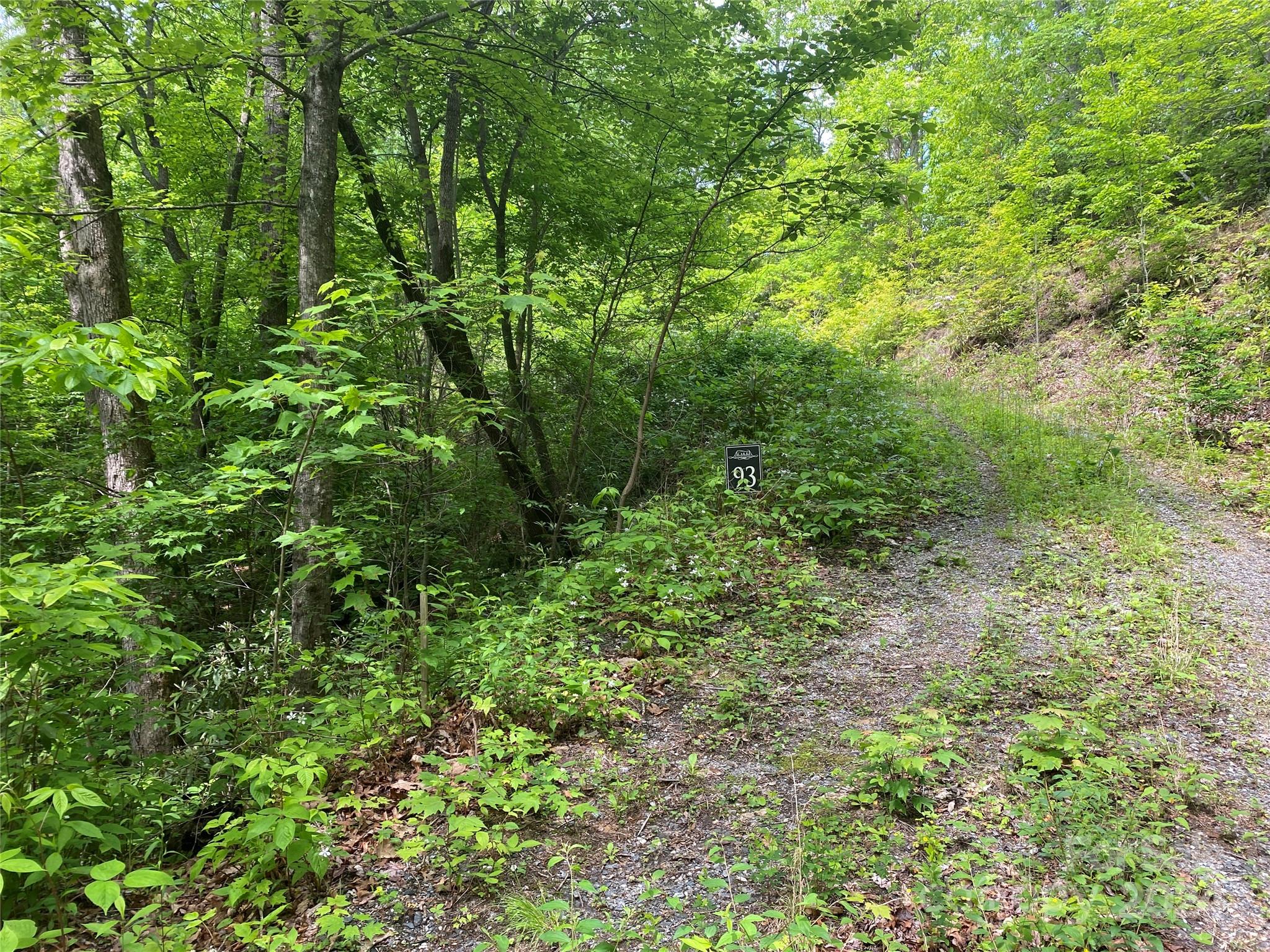 Lot 93 Alarka Highlands Drive Property Photo 4
