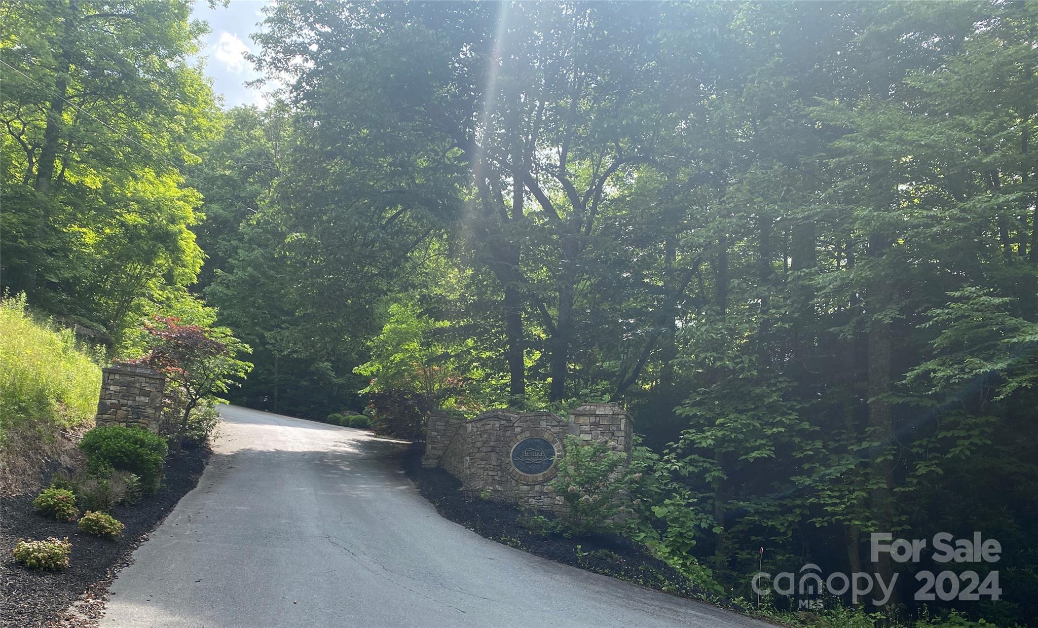Lot 93 Alarka Highlands Drive Property Photo 5