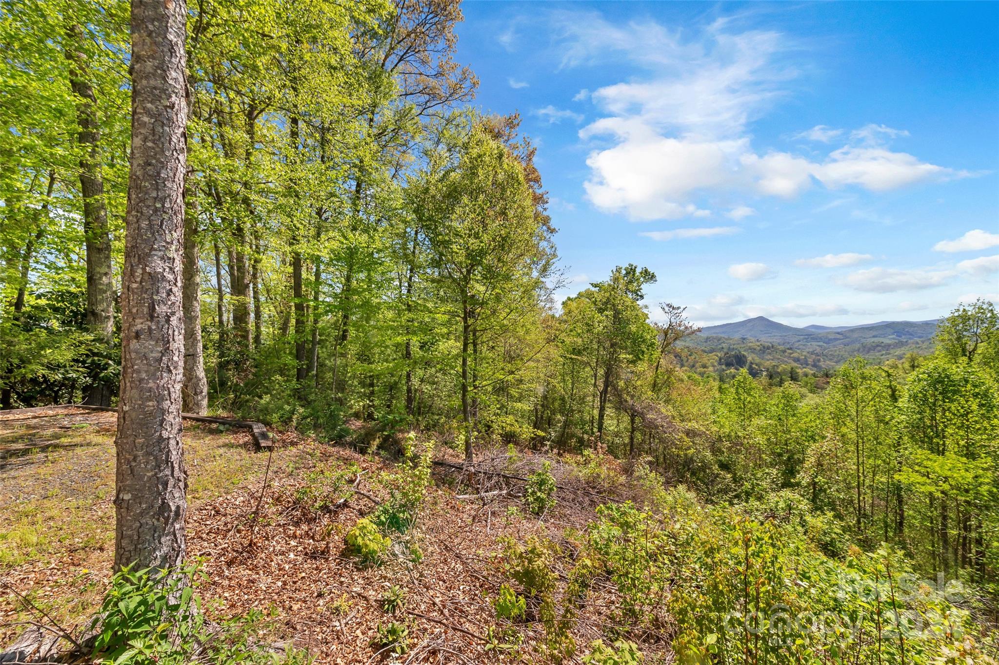 430 Trotter Trail Property Photo