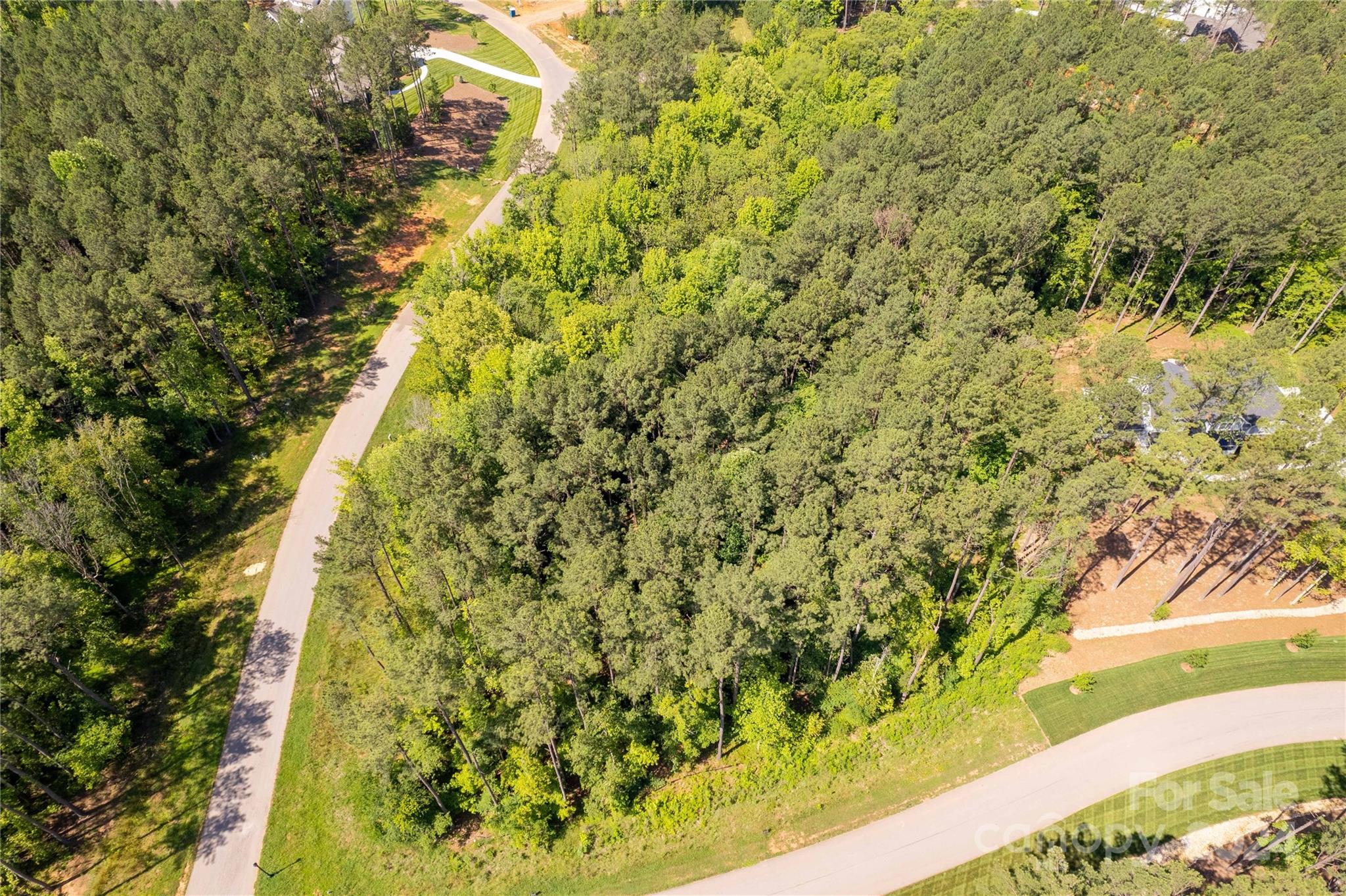 6463 Chimney Bluff Road Property Photo 3