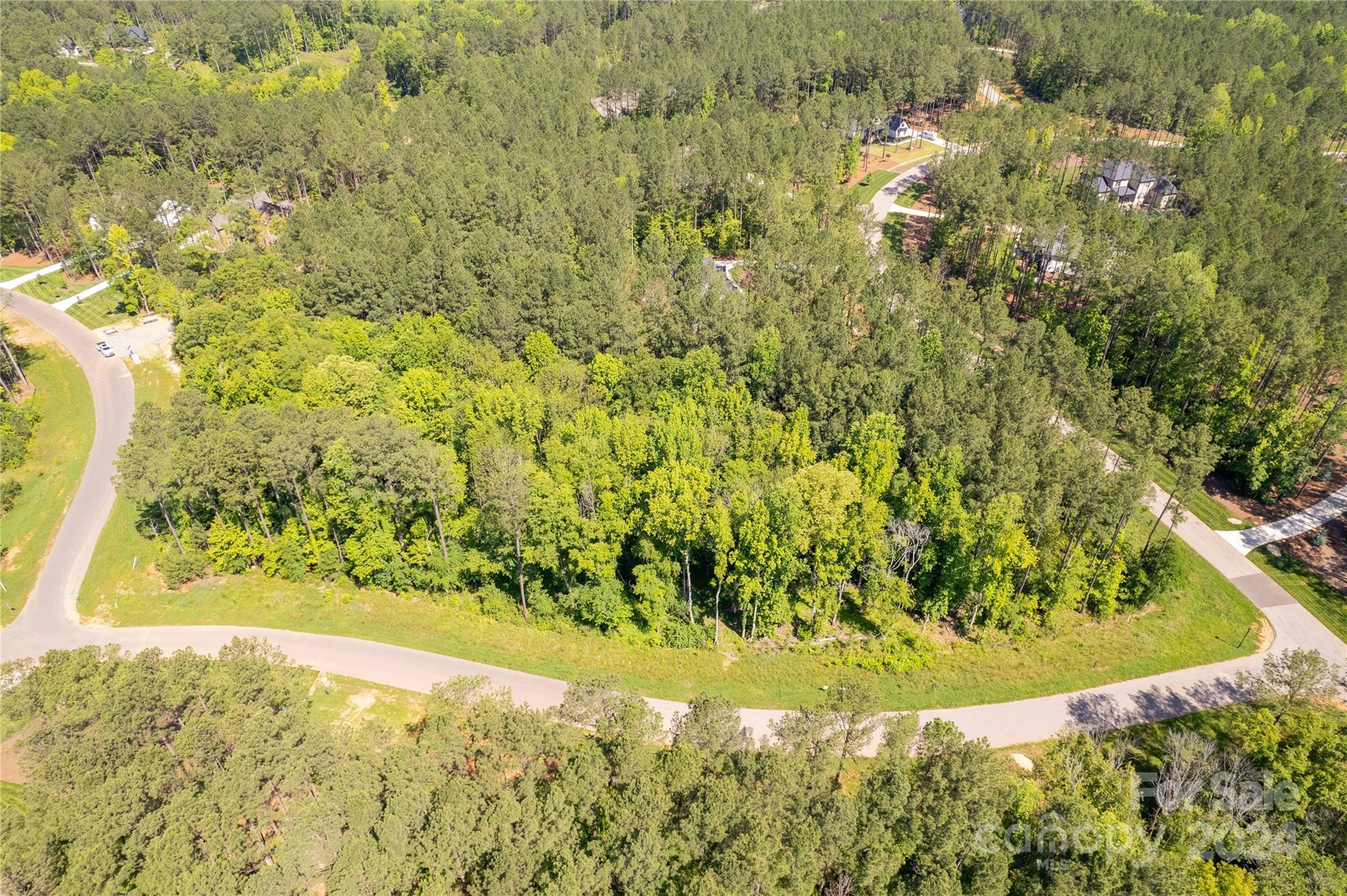 6463 Chimney Bluff Road Property Photo 6