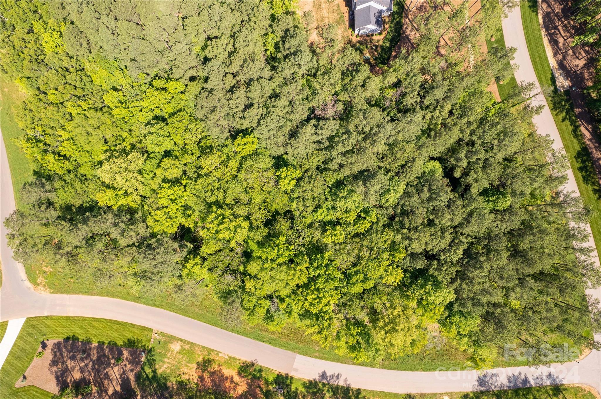 6463 Chimney Bluff Road Property Photo 11
