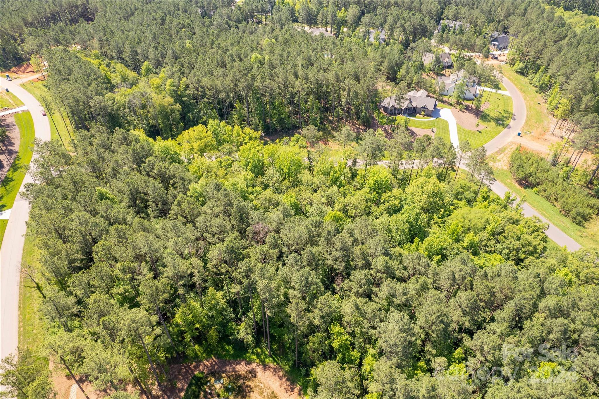 6463 Chimney Bluff Road Property Photo 12