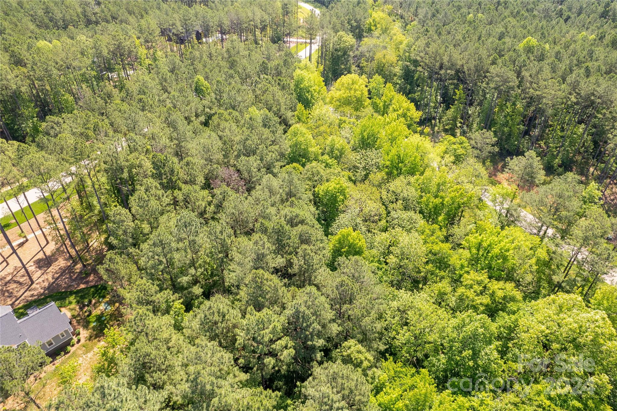 6463 Chimney Bluff Road Property Photo 14