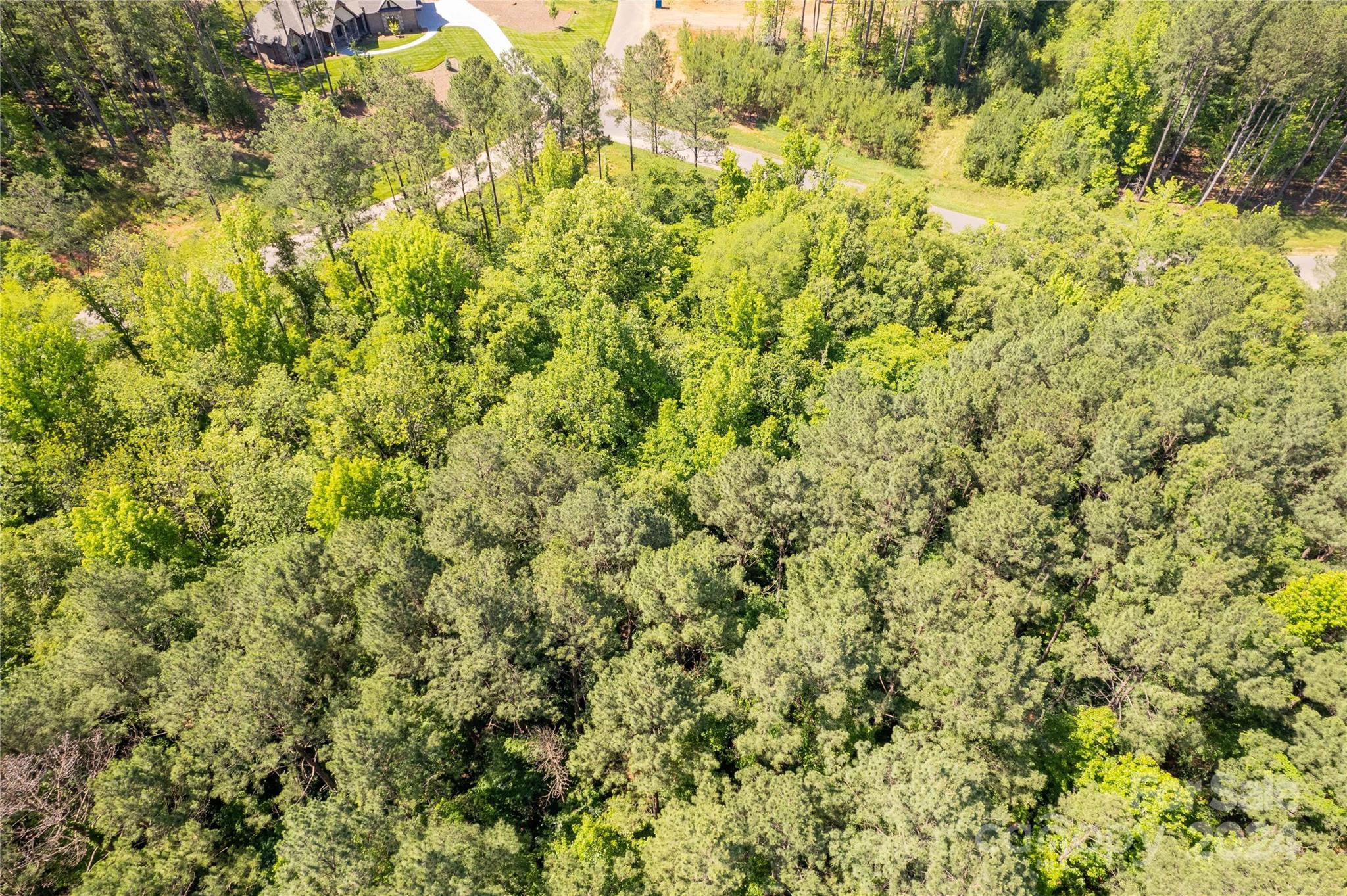 6463 Chimney Bluff Road Property Photo 15