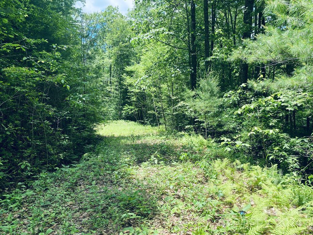 34 Grouse Haven Lane Property Photo 7