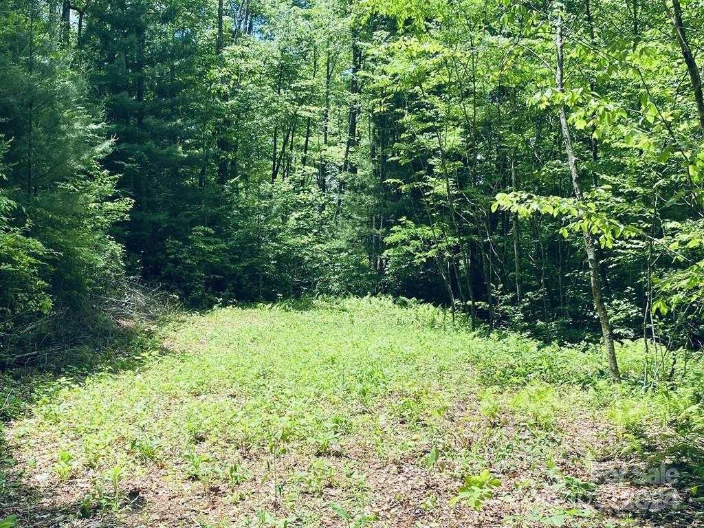34 Grouse Haven Lane Property Photo 9