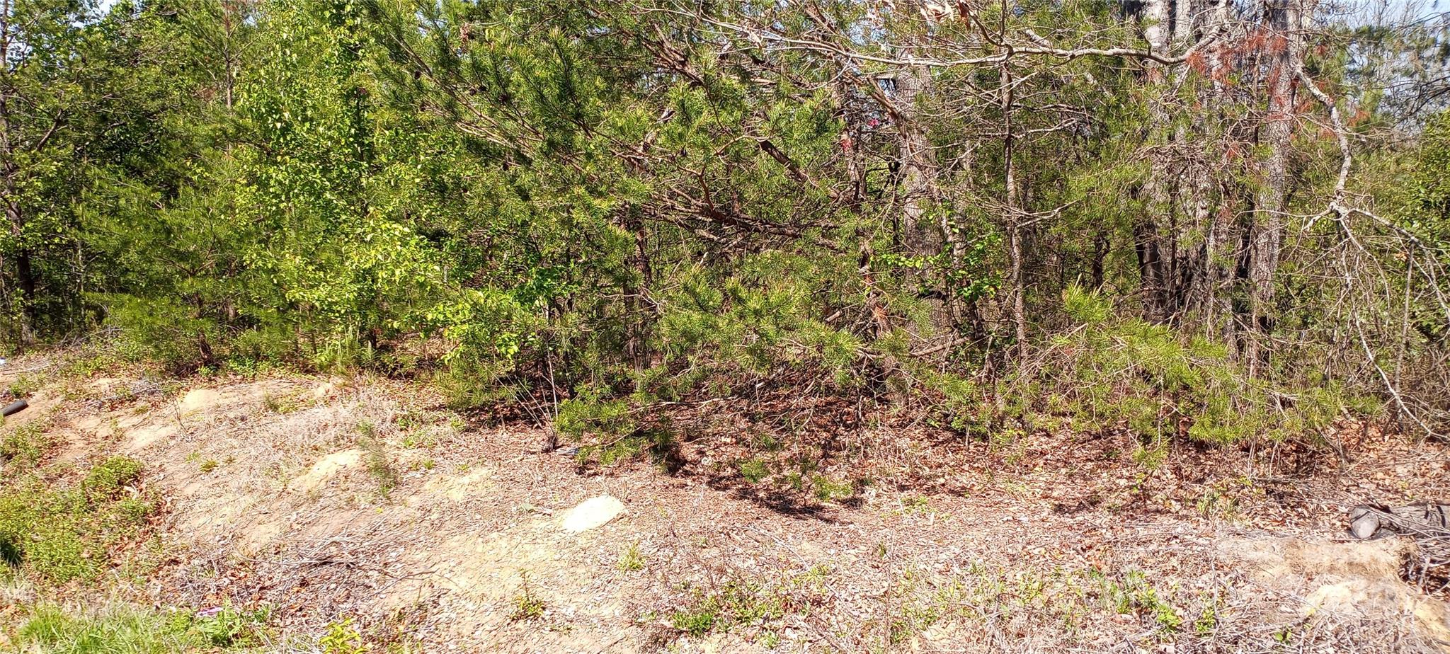 Tbd Biggerstaff Loop Lot E Property Photo 2