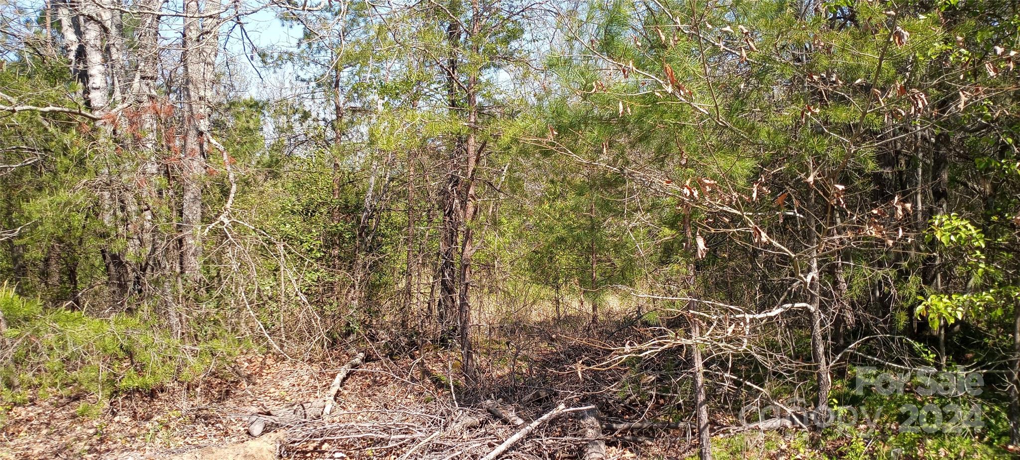 Tbd Biggerstaff Loop Lot E Property Photo 3
