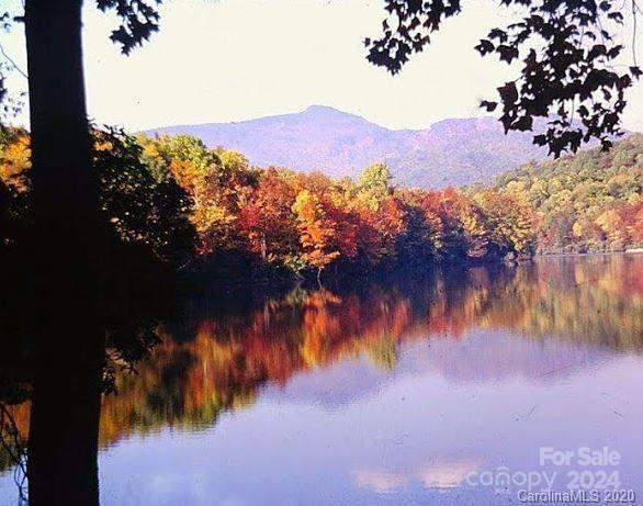 Tbd Biggerstaff Loop Lot E Property Photo 11