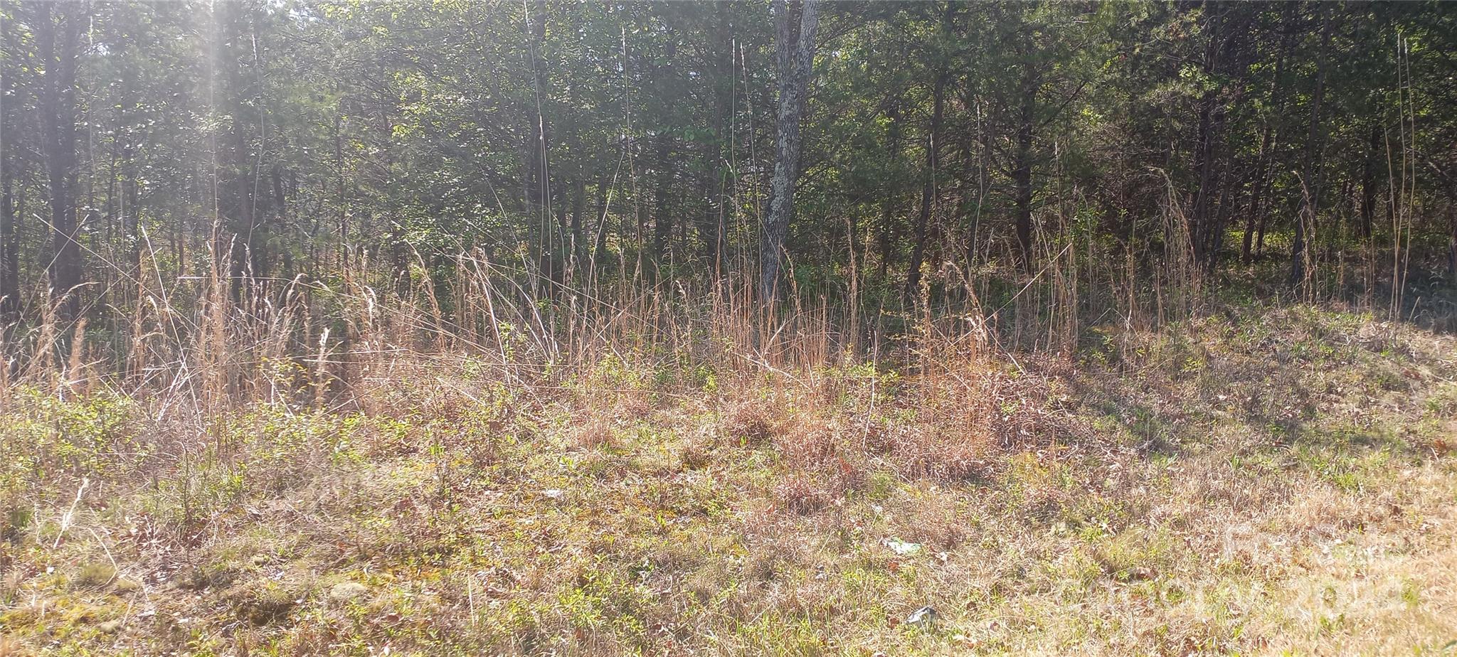 Tbd Biggerstaff Loop Lot # 21 Property Photo 4