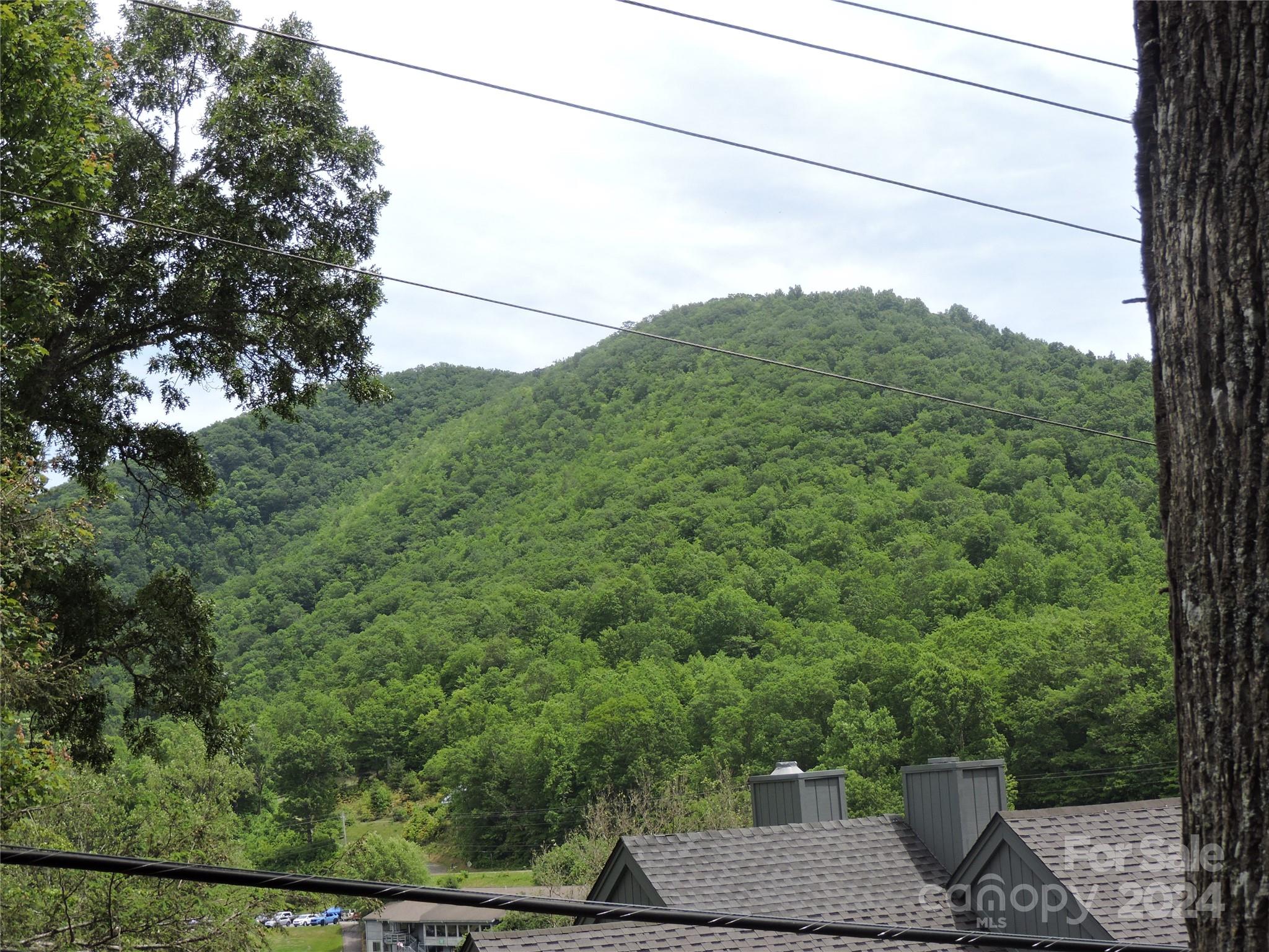 00 South Toe River Road Lot 2 Property Photo 2