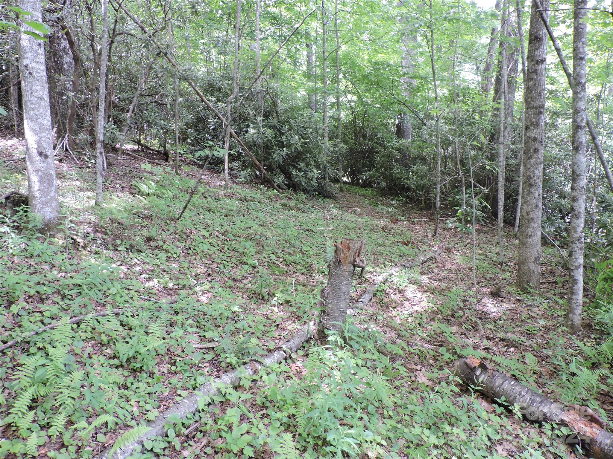 00 South Toe River Road Lot 2 Property Photo 4