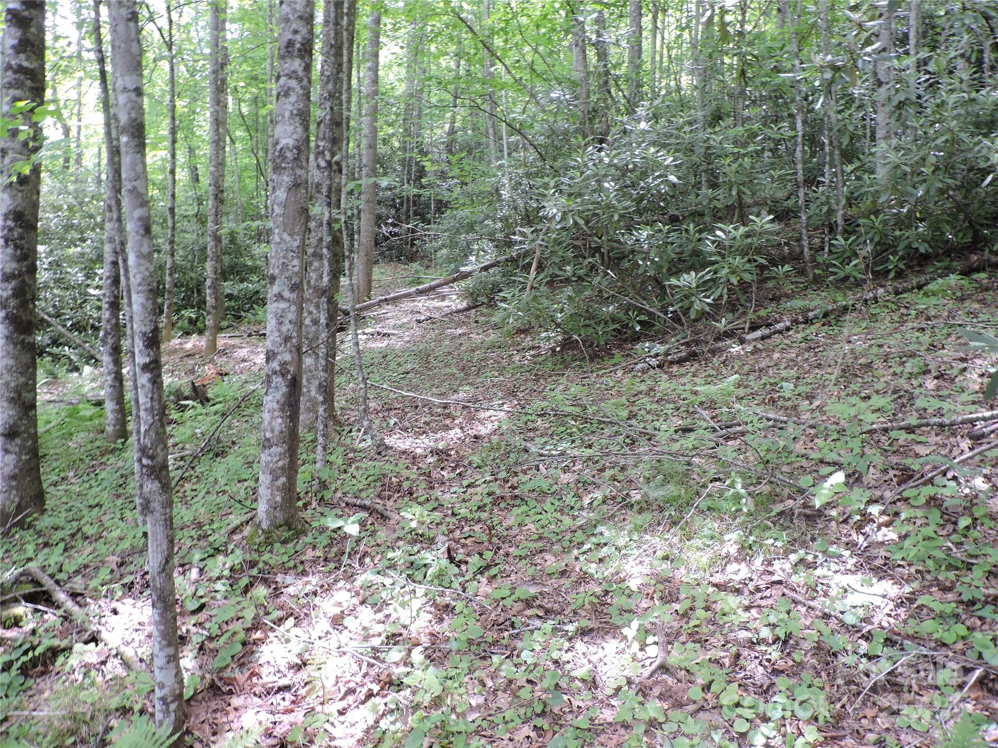 00 South Toe River Road Lot 2 Property Photo 5