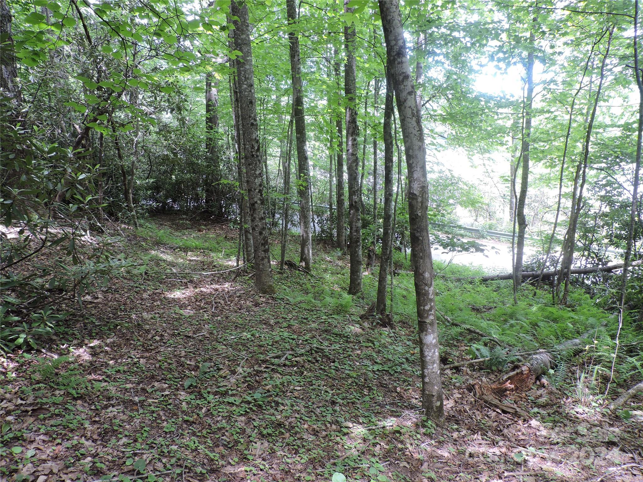 00 South Toe River Road Lot 2 Property Photo 6