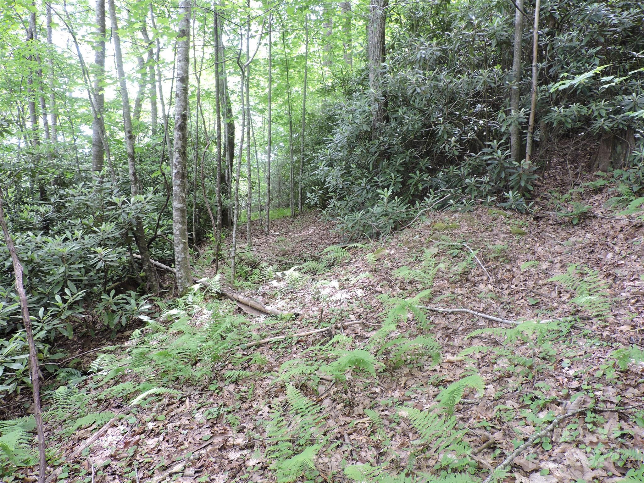 00 South Toe River Road Lot 2 Property Photo 7