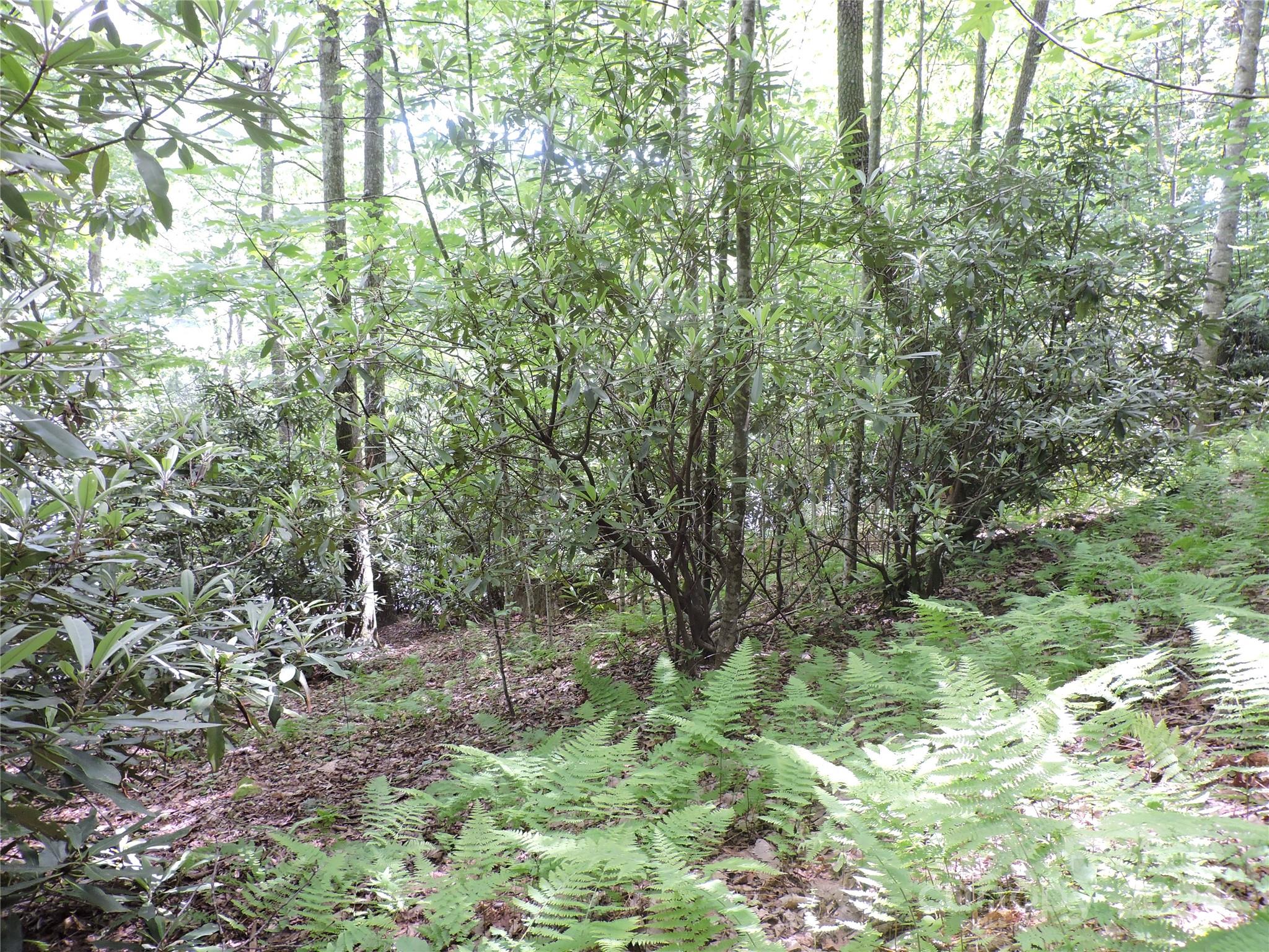 00 South Toe River Road Lot 2 Property Photo 8