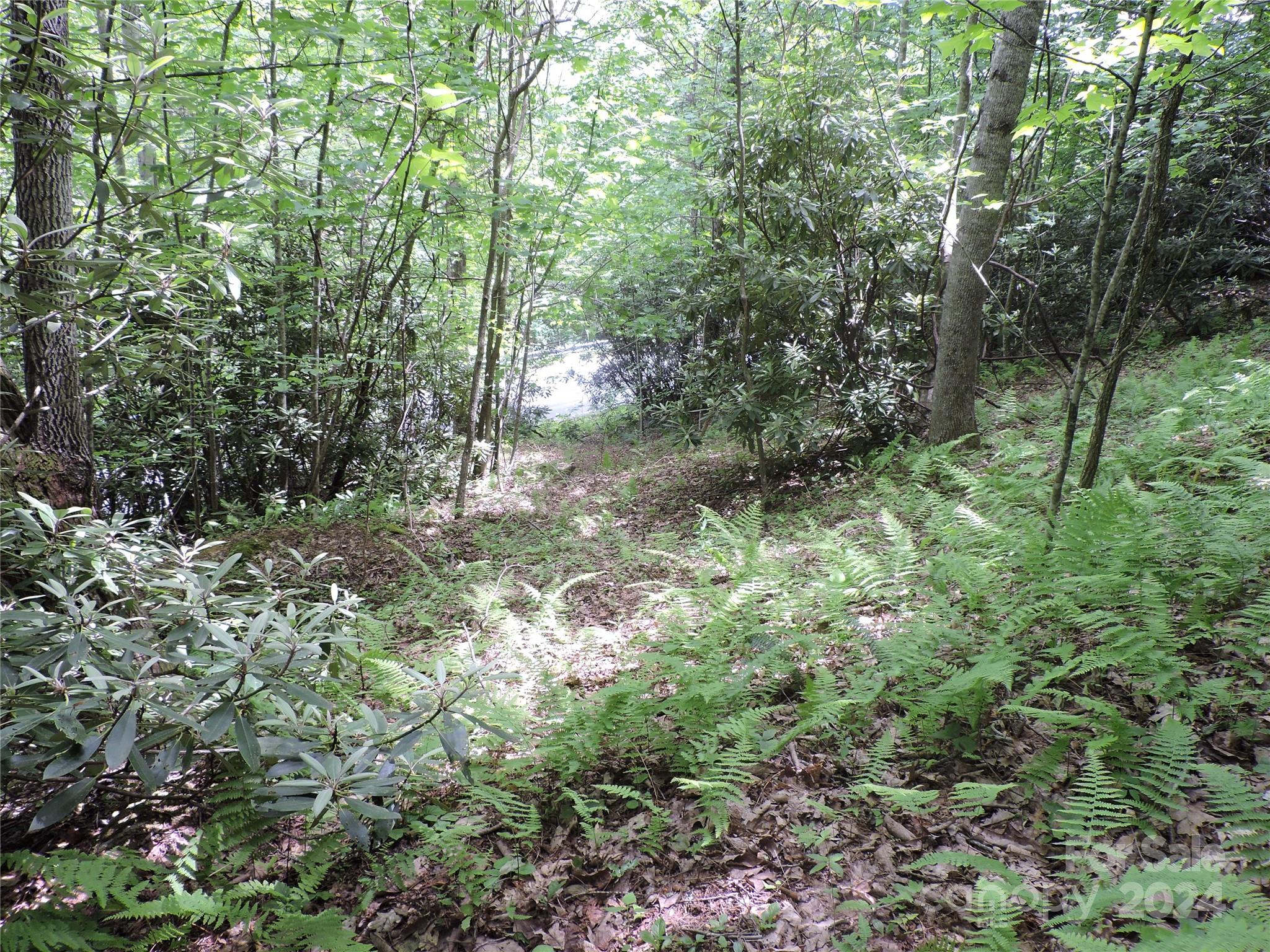 00 South Toe River Road Lot 2 Property Photo 9