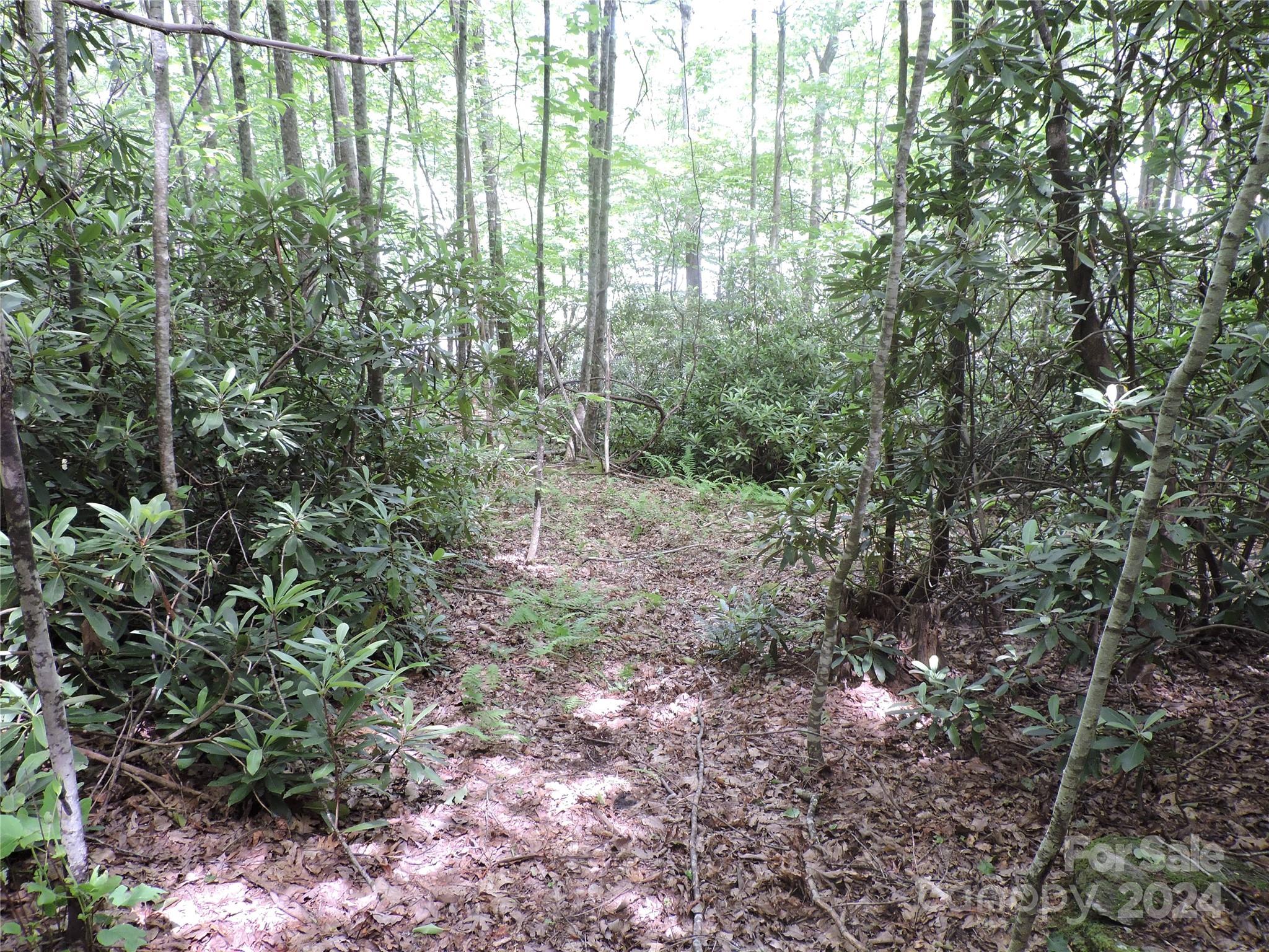 00 South Toe River Road Lot 2 Property Photo 10