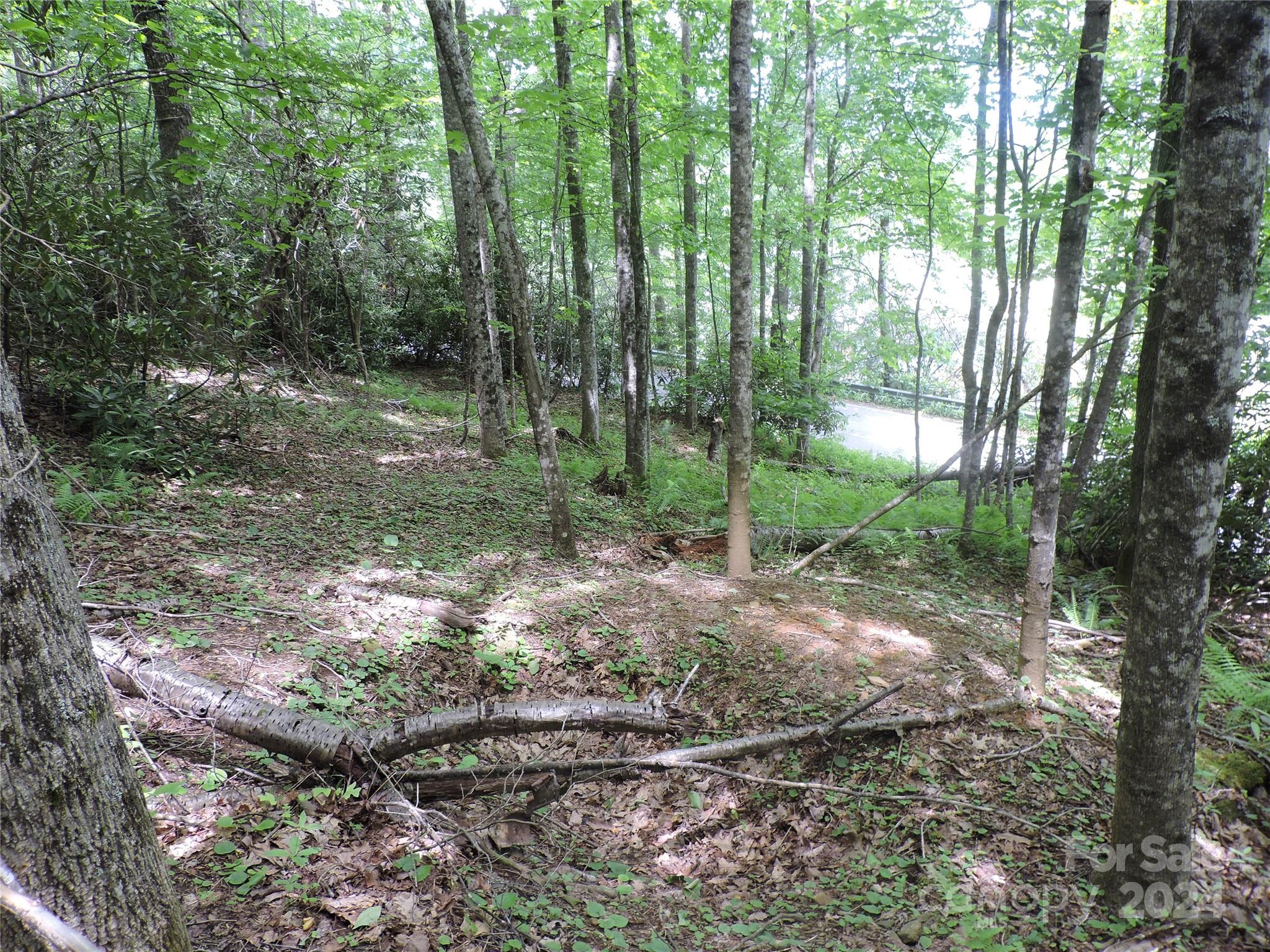00 South Toe River Road Lot 2 Property Photo 11