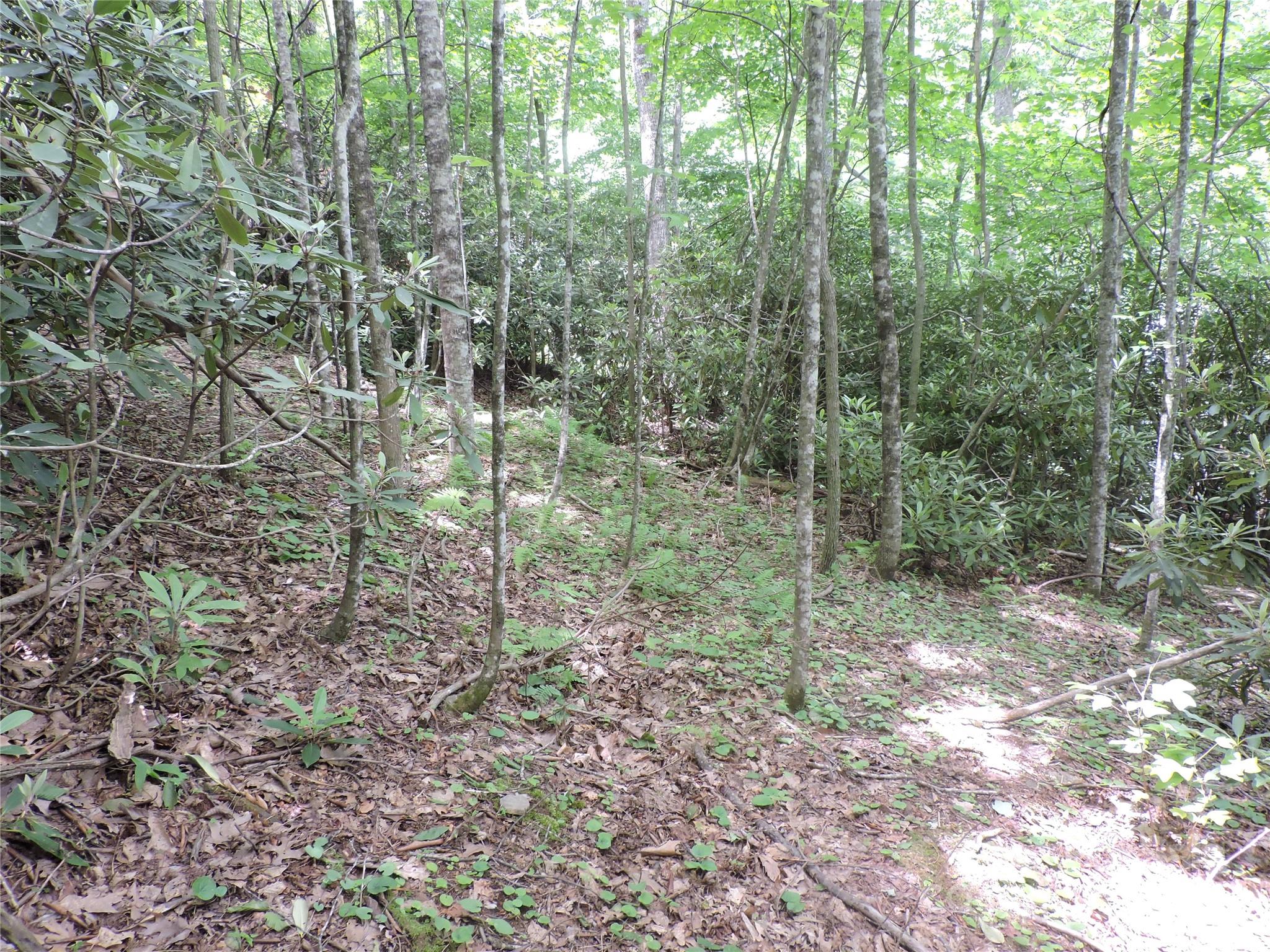 00 South Toe River Road Lot 2 Property Photo 12
