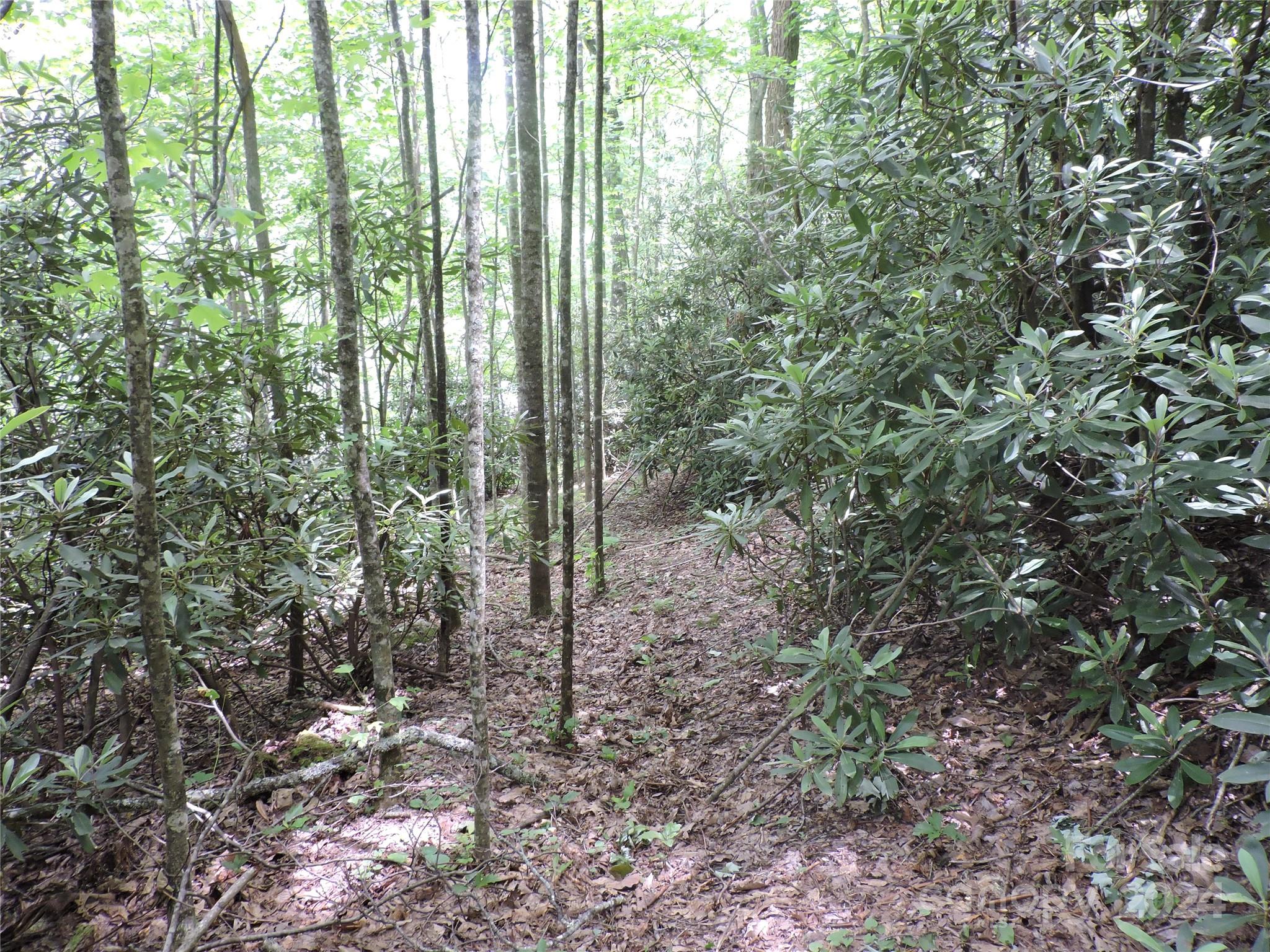 00 South Toe River Road Lot 2 Property Photo 13