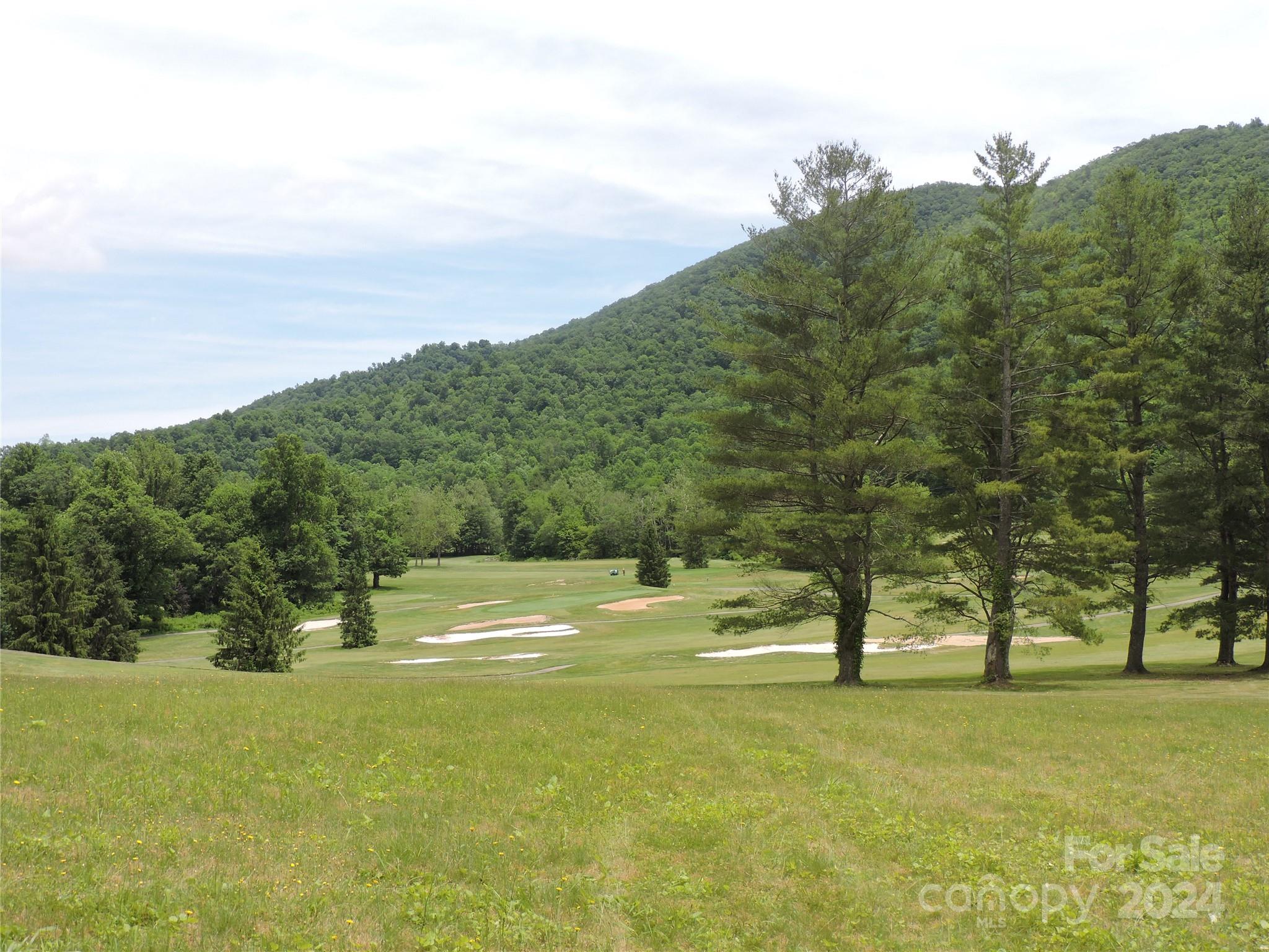 00 South Toe River Road Lot 2 Property Photo 16