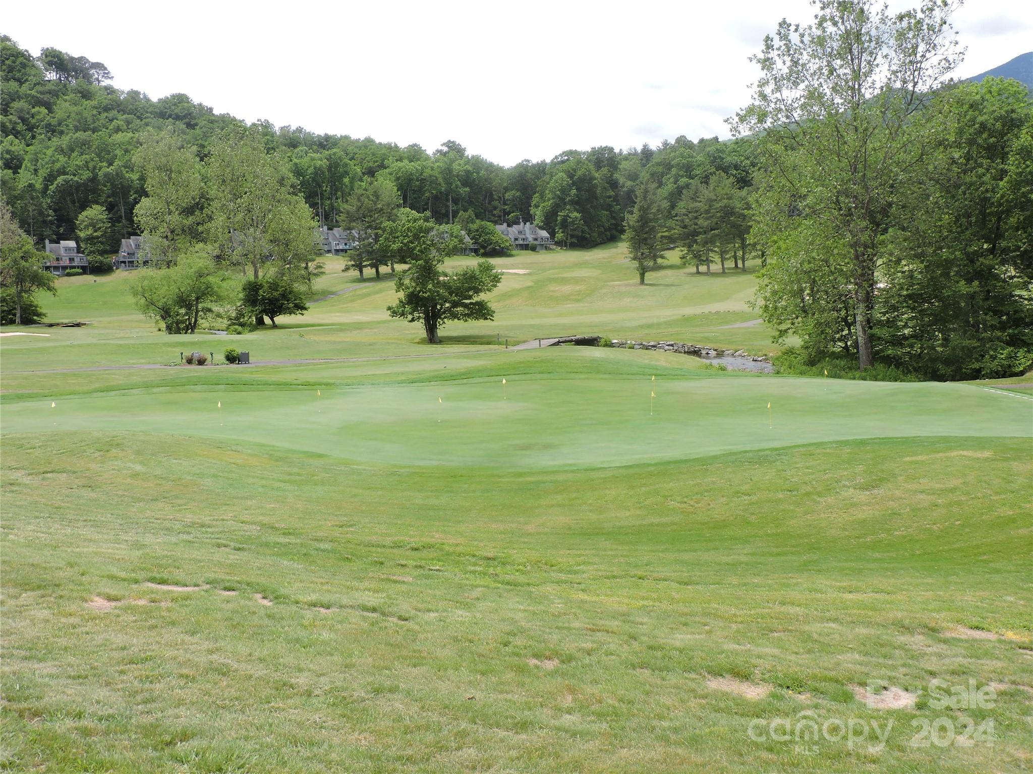 00 South Toe River Road Lot 2 Property Photo 23