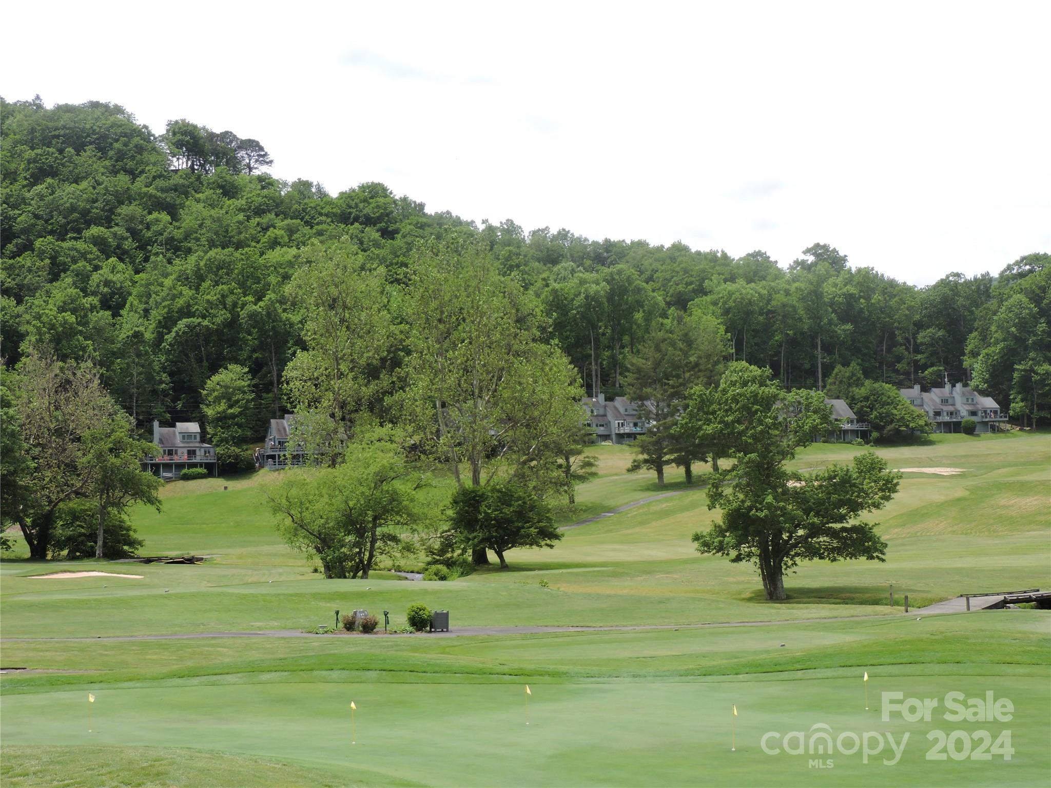 00 South Toe River Road Lot 2 Property Photo 24