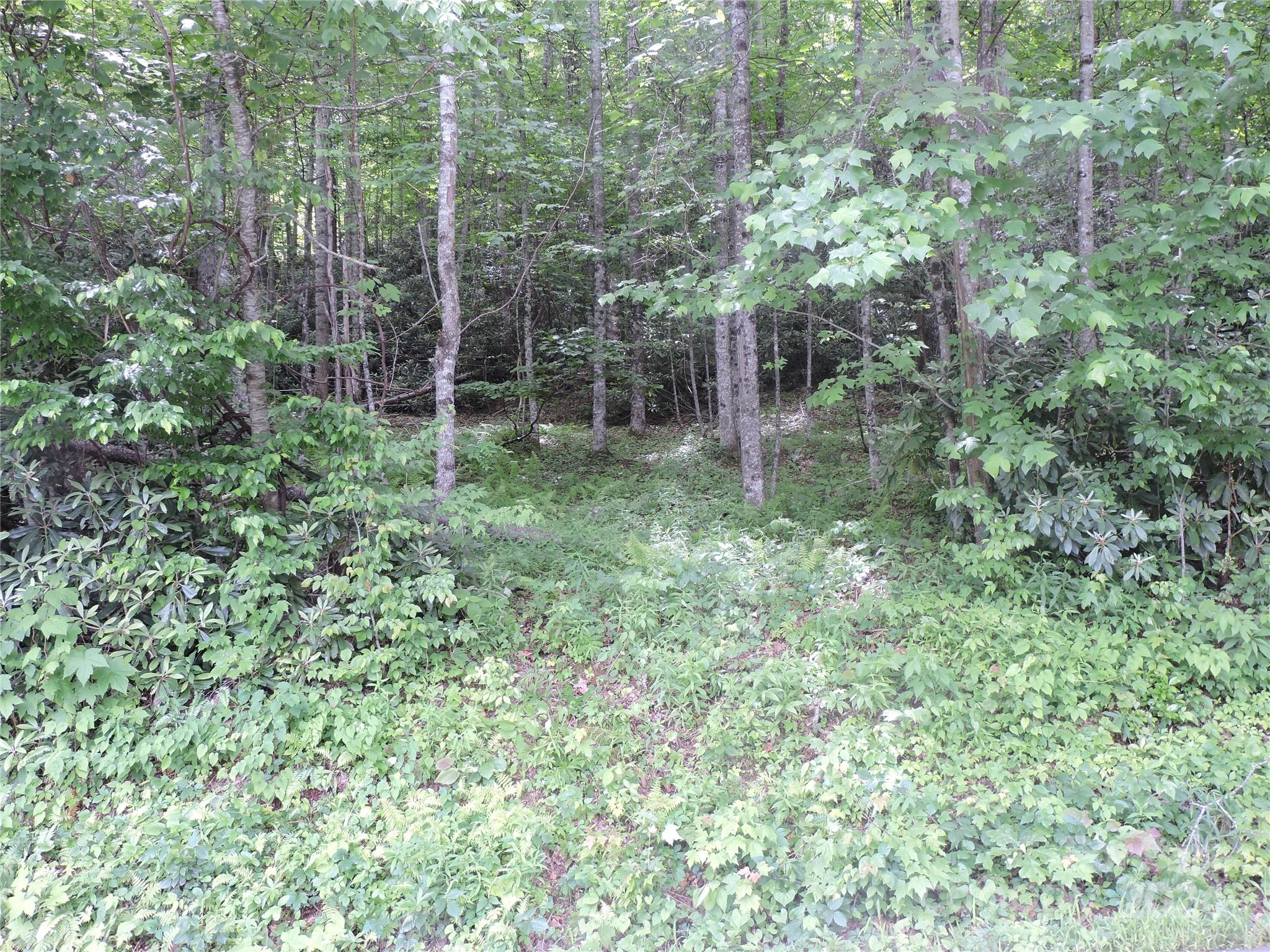 00 South Toe River Road Lot 2 Property Photo 26