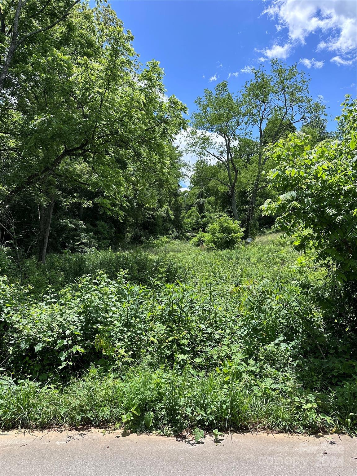 109 Round Table Trail 7 Property Photo 1