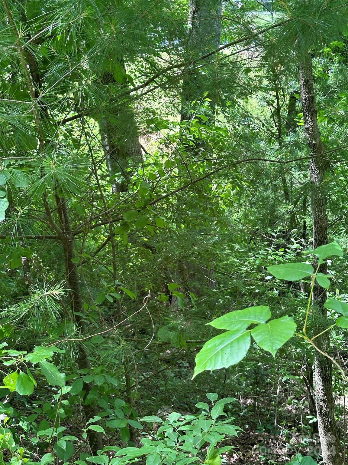 109 Round Table Trail 7 Property Photo 3