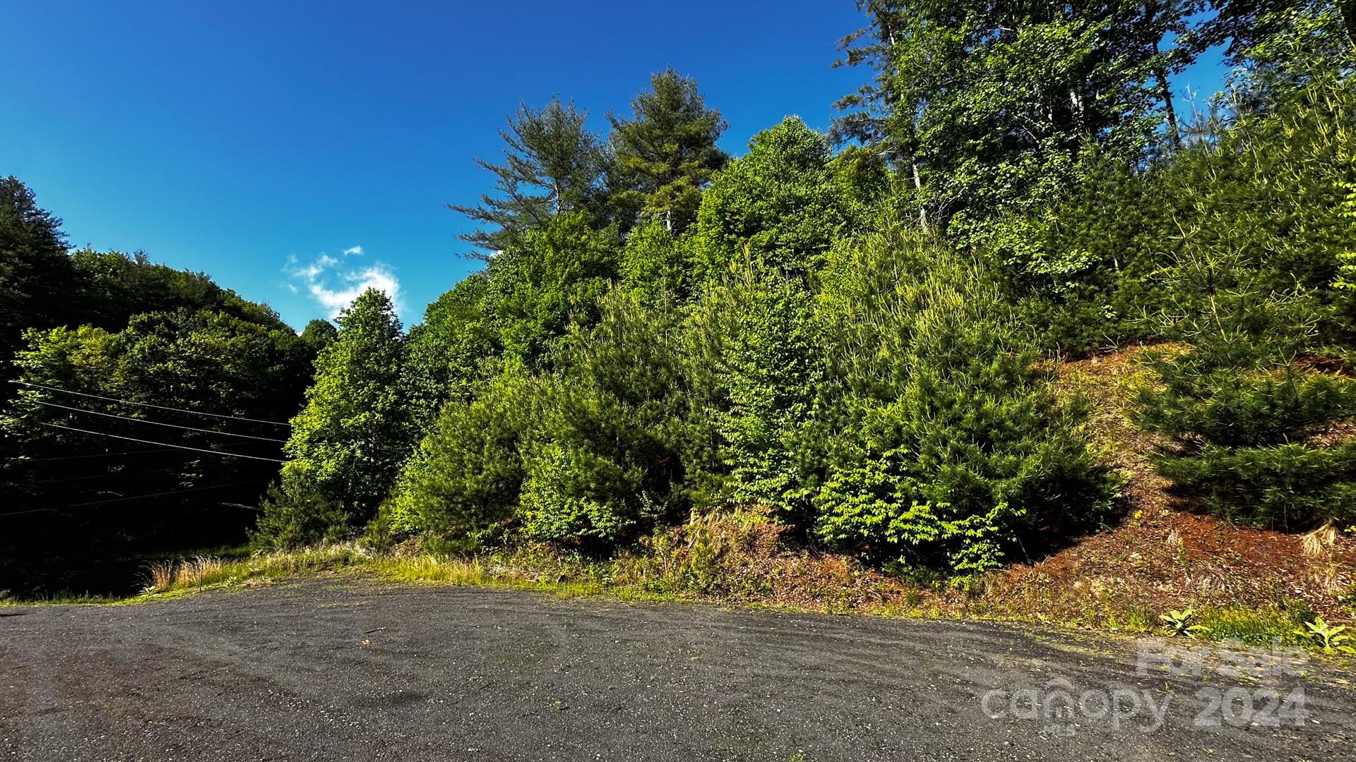 Lot 13-tbd Peck Peak Road 13 Property Photo