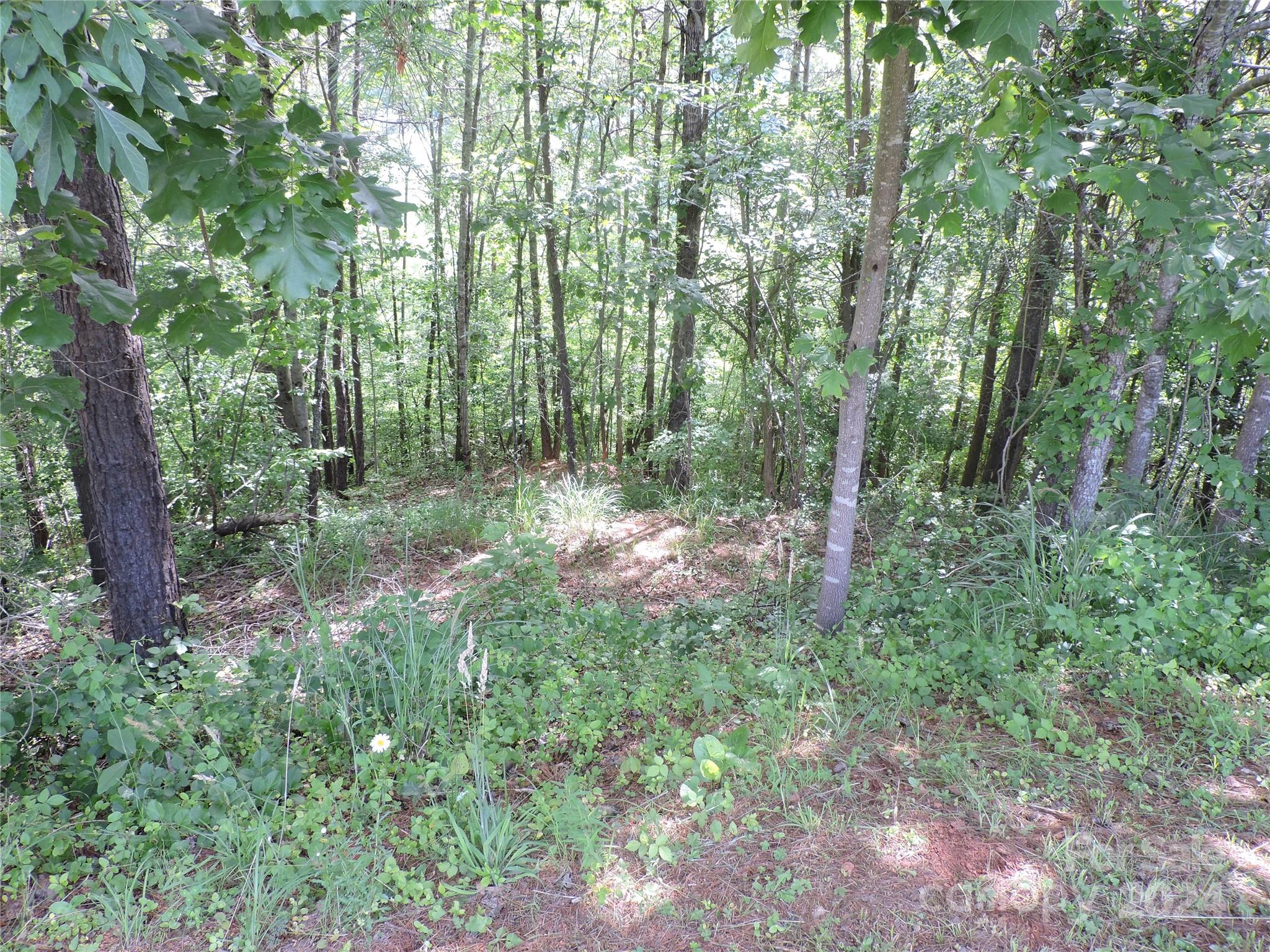 60 Gins Lane Lot 11 Property Photo 7