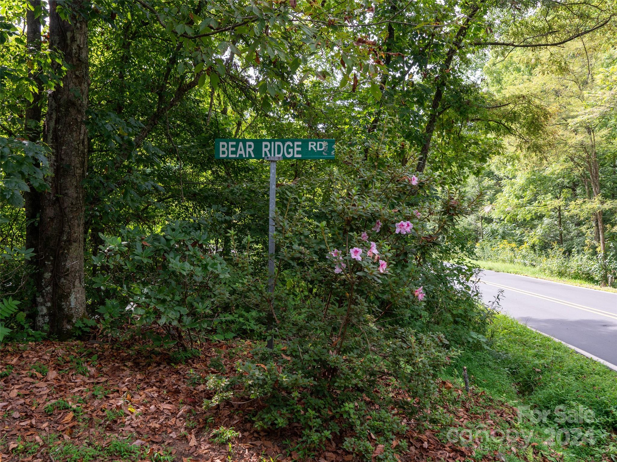 000 Bear Ridge Road 19-22 Property Photo 5