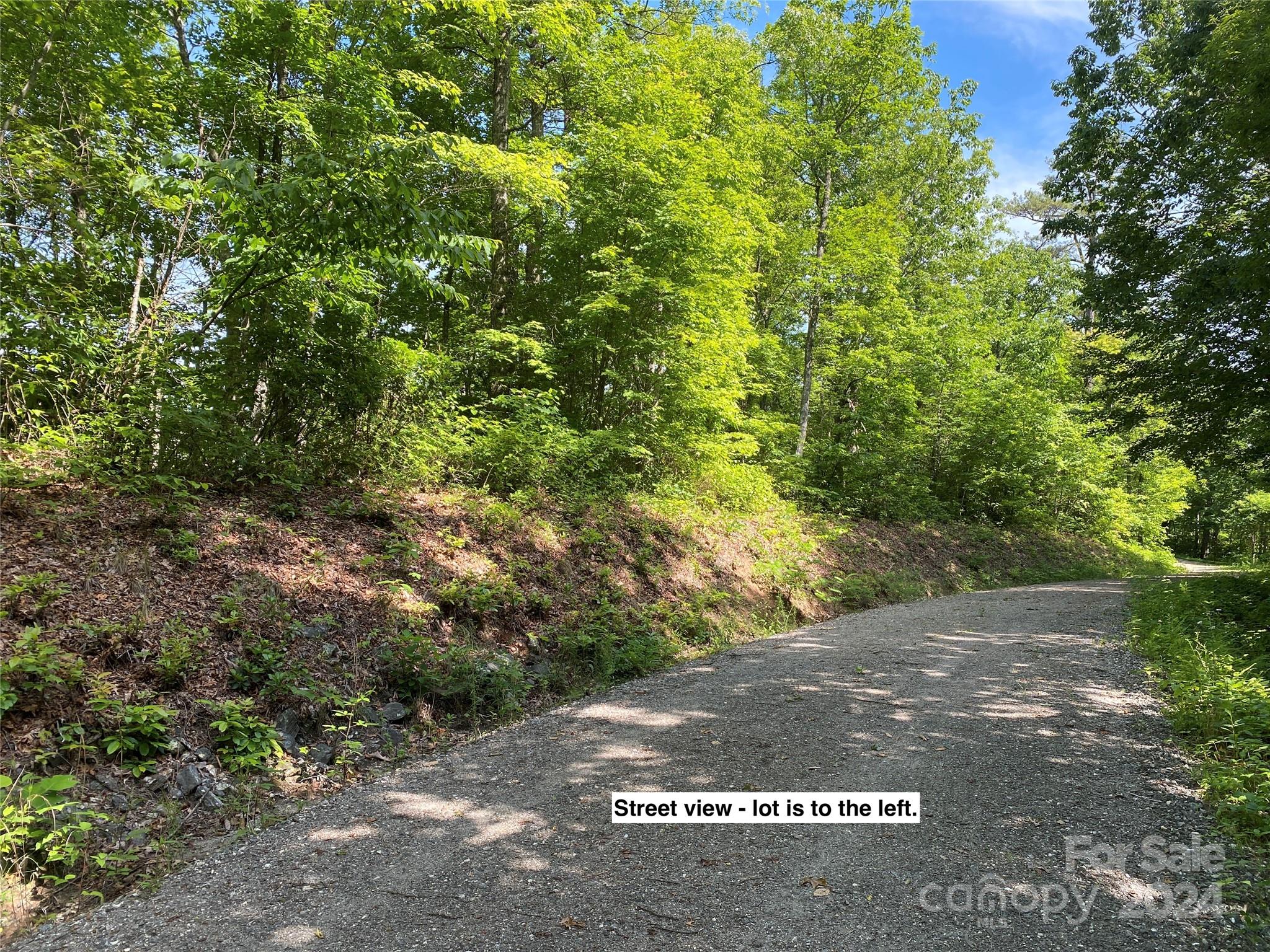 Lot 79 Vail Pass Road Property Photo