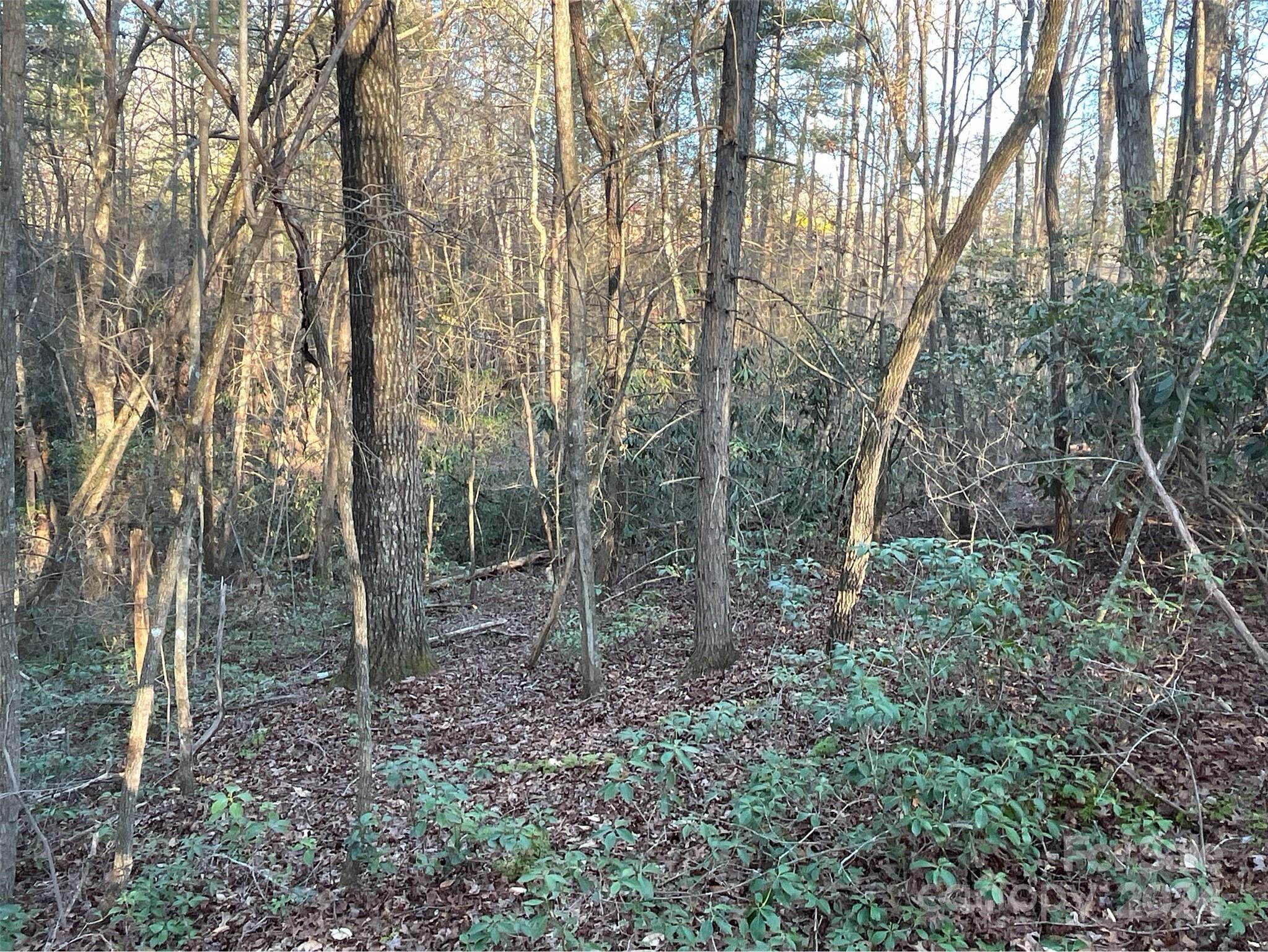 9999 Westwood Drive Property Photo 9