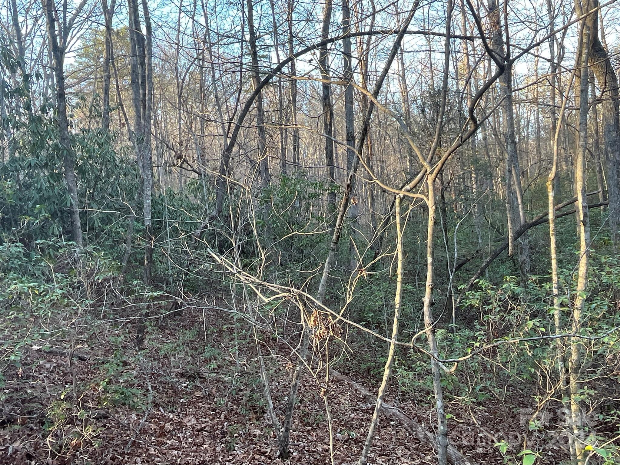 9999 Westwood Drive Property Photo 10