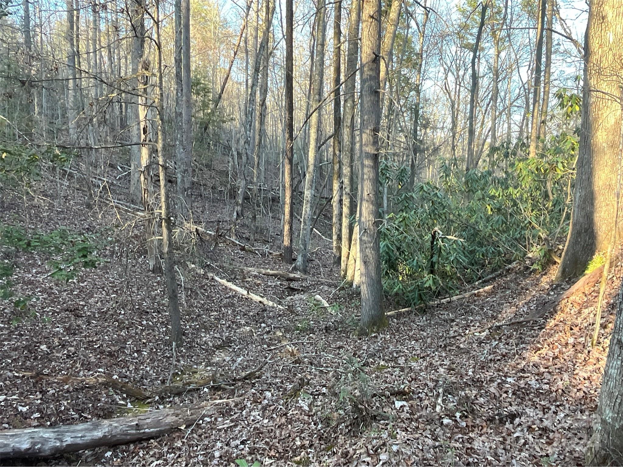9999 Westwood Drive Property Photo 11