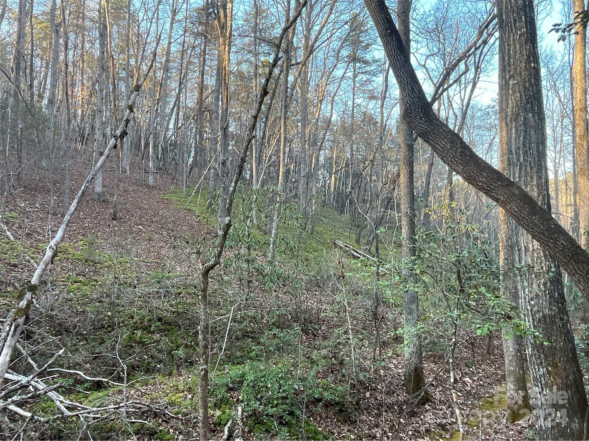 9999 Westwood Drive Property Photo 14