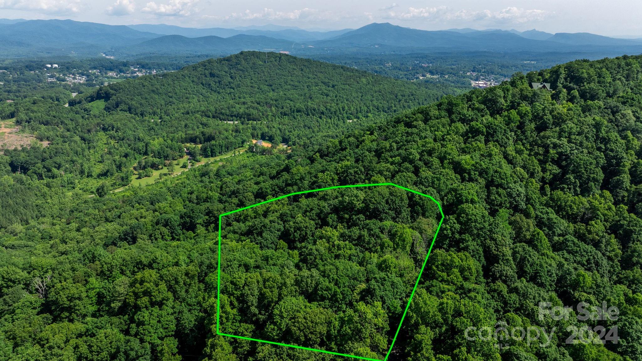 0 Grants Mountain Road 29 Property Photo 2