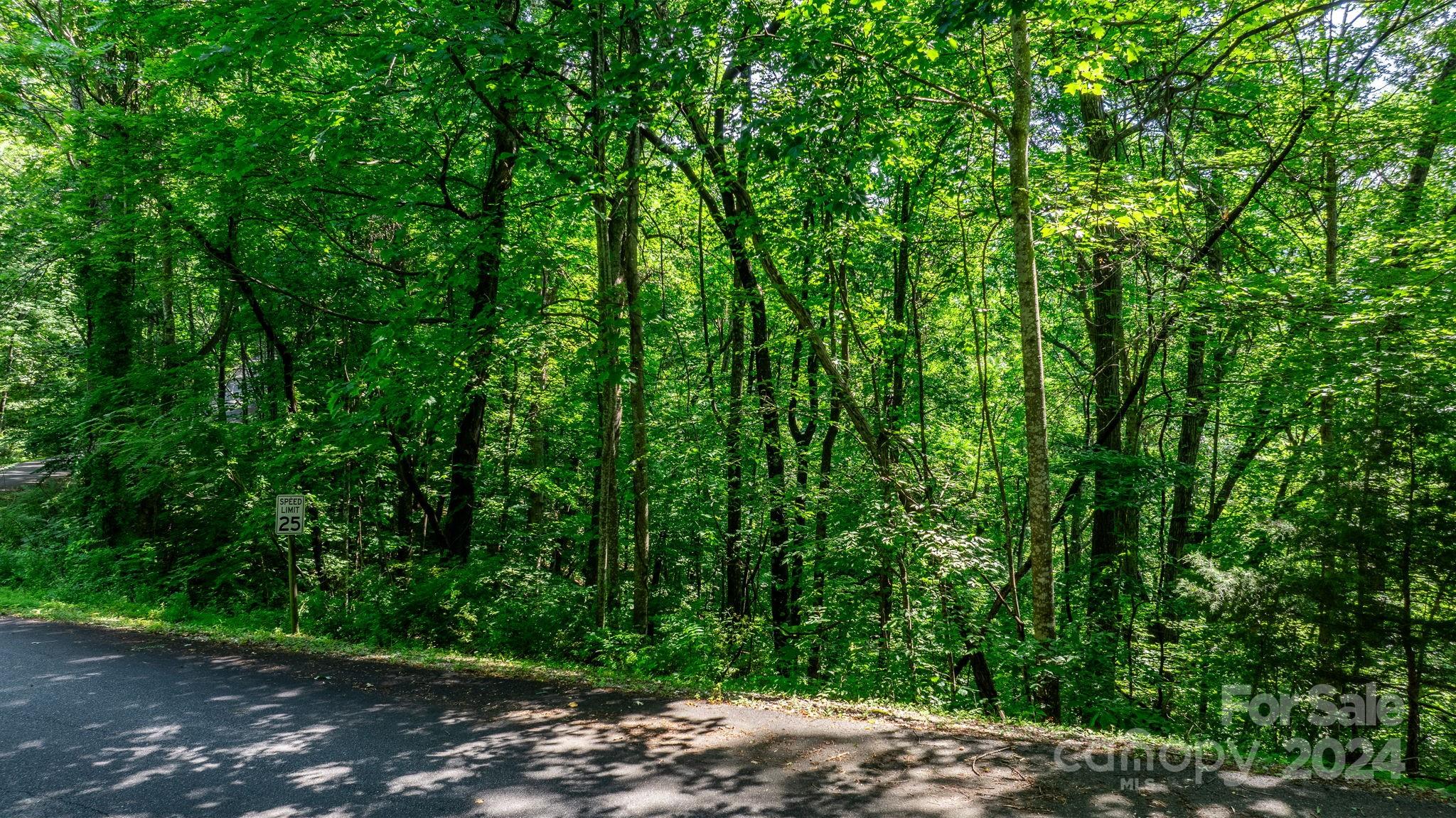 0 Grants Mountain Road 29 Property Photo 8